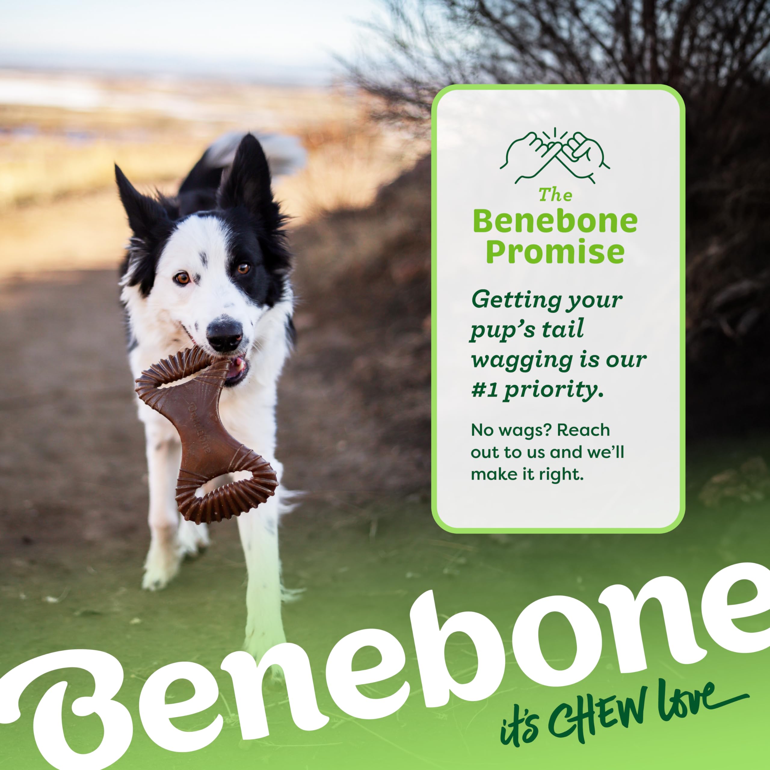 Benebone Dental Durable Dog Chew Toy For Aggressive Chewers, Real Chicken, Made In Usa, Large