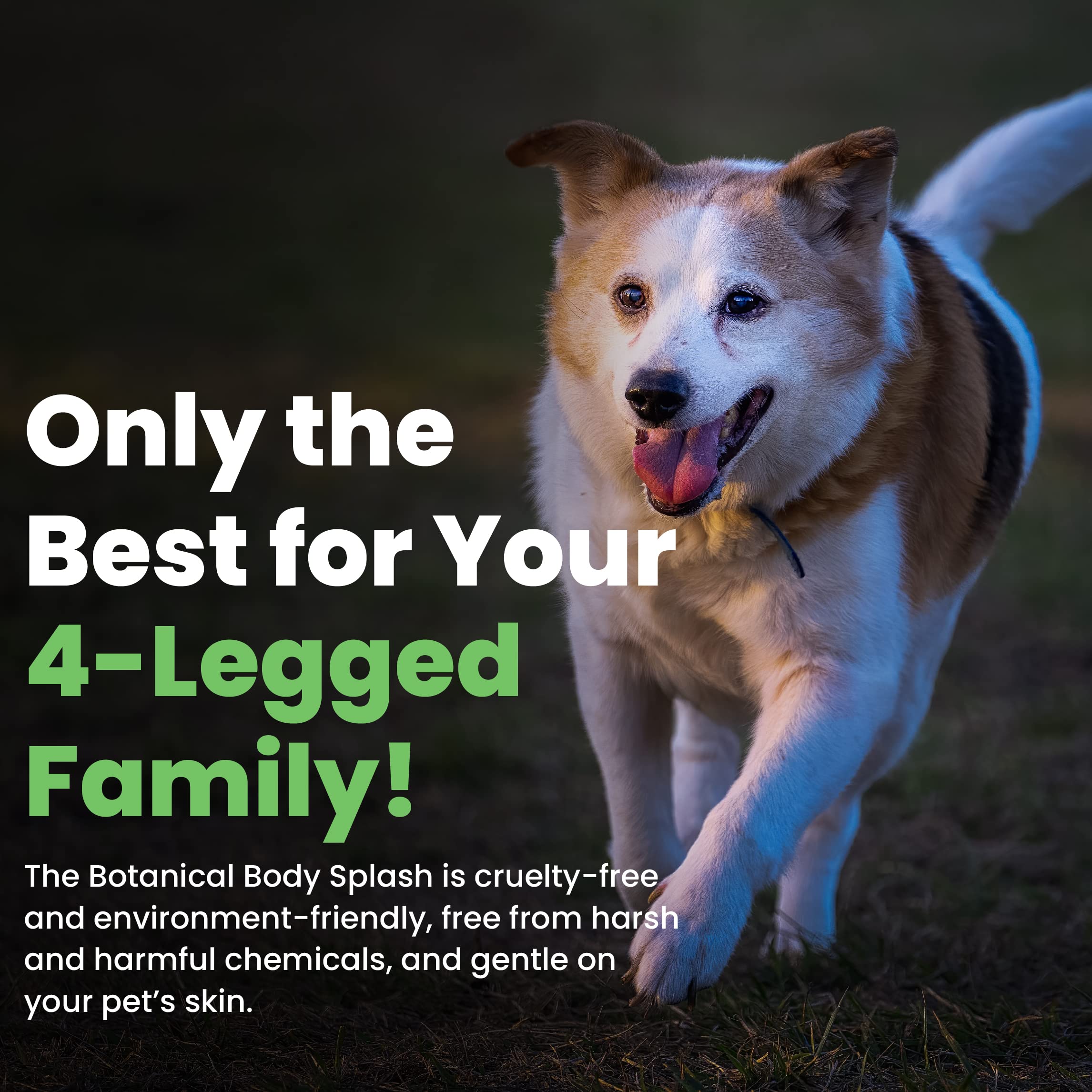 Best Shot Scentament Spa Botanical Body Spray, Body Spray Conditioner For Pets, Cat And Dog Cologne Spray, Sweet Pea, 8 Oz