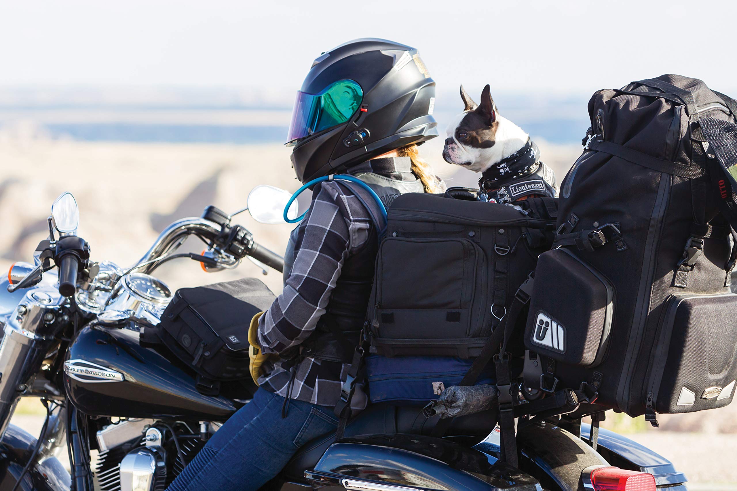 Kuryakyn 5288 Grand Pet Palace: Portable Weather Resistant Motorcycle Dog/Cat Carrier Crate For Luggage Rack Or Passenger Seat W