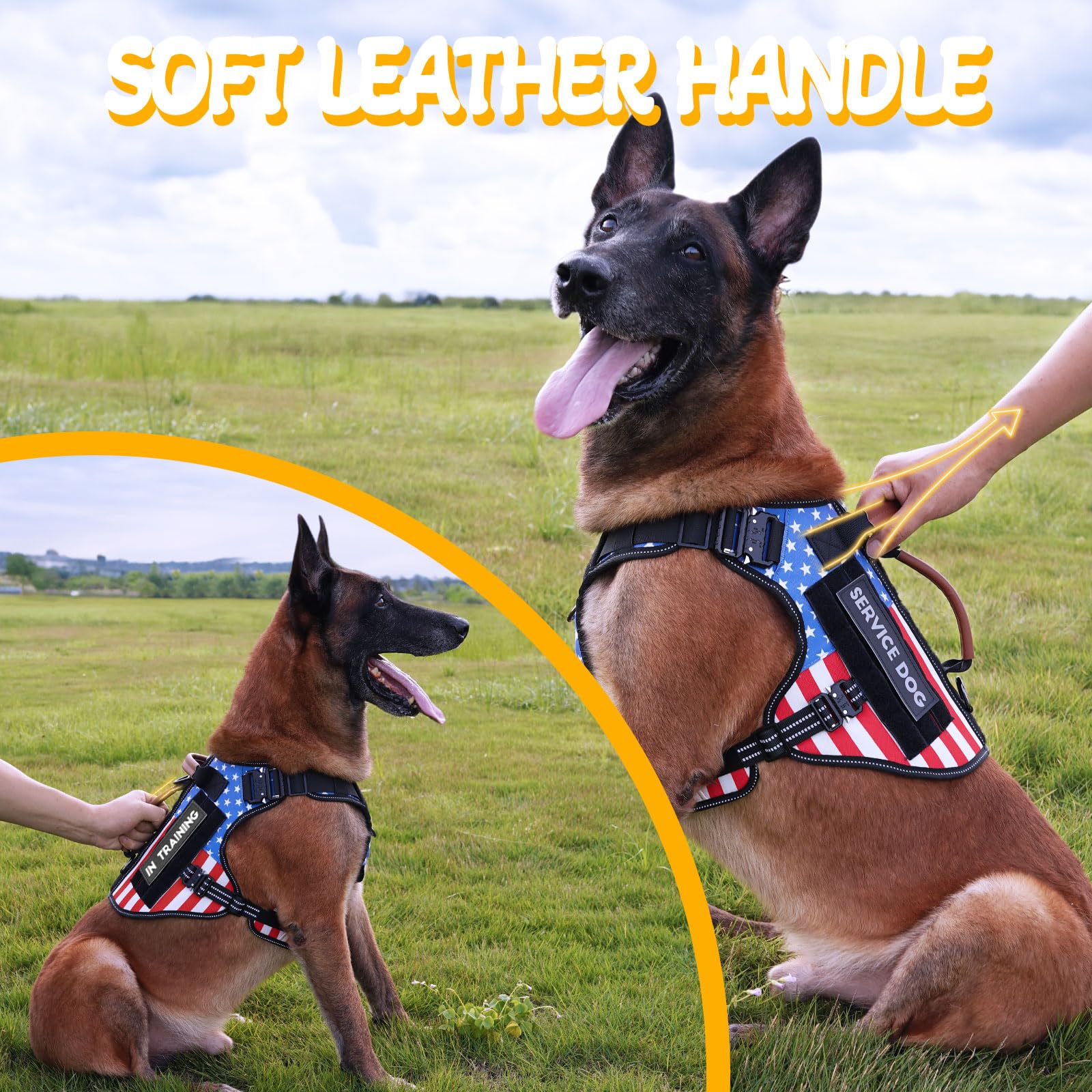 Service Dog Vest - HEYCAHVA Tactical Dog Harness Full Metal Buckles for Large Medium Dogs Reflective No Pull Dog Harnesses with