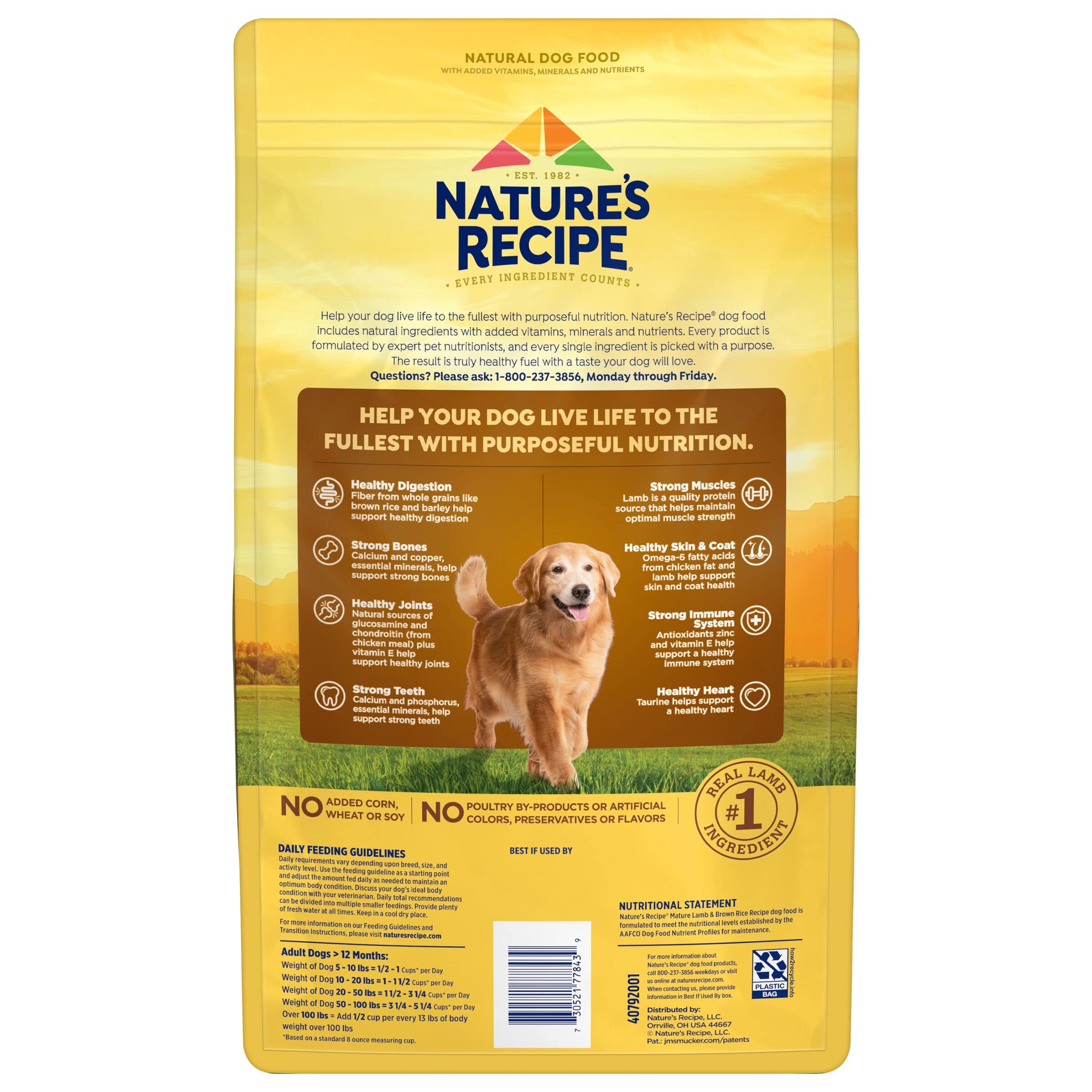 Natures Recipe Mature Lamb & Brown Rice Recipe Dry Dog Food, 4 lb. Bag