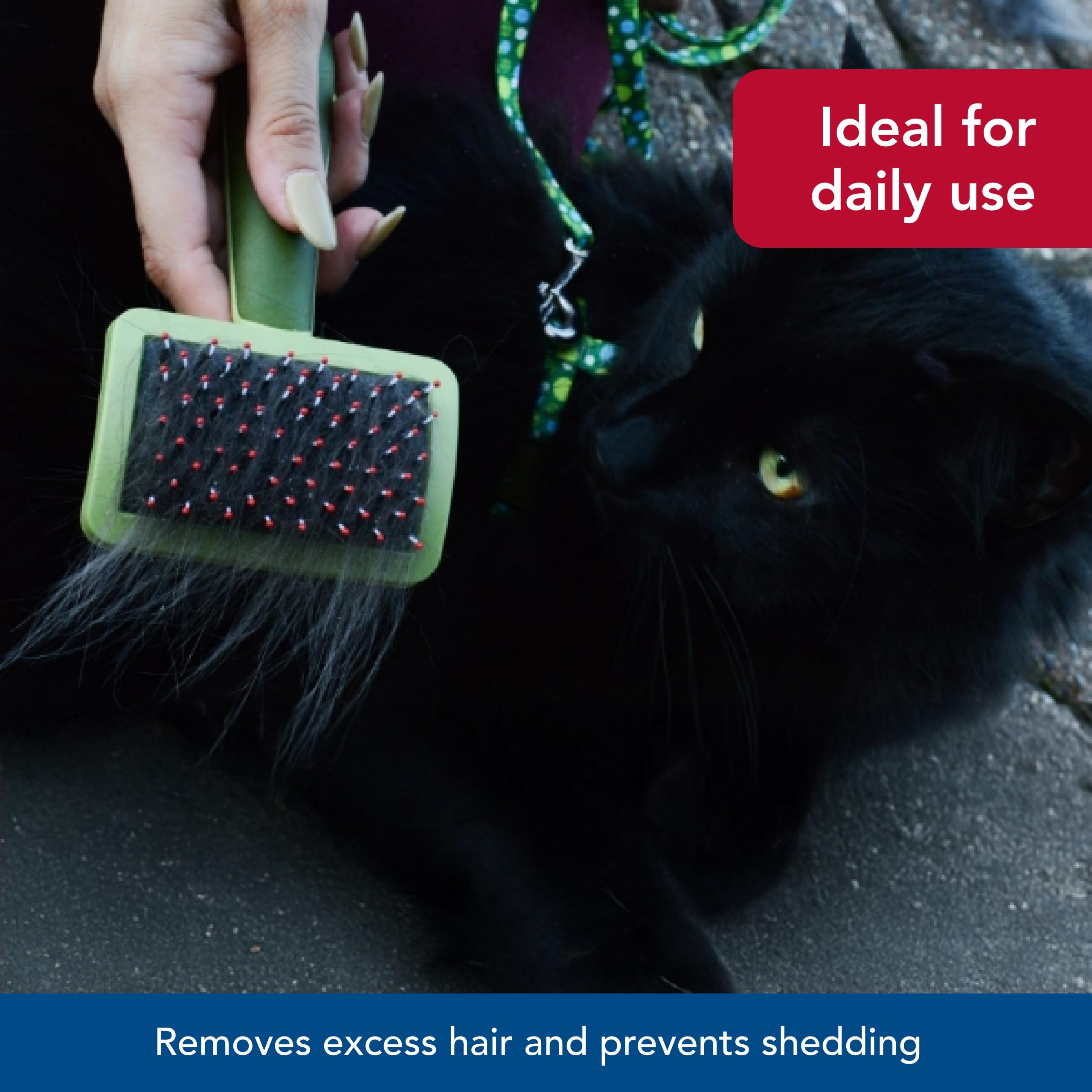 Coastal Pet - Safari - Complete Cat Brush, No Color, One Size (6.50' L X 3.0625' W)