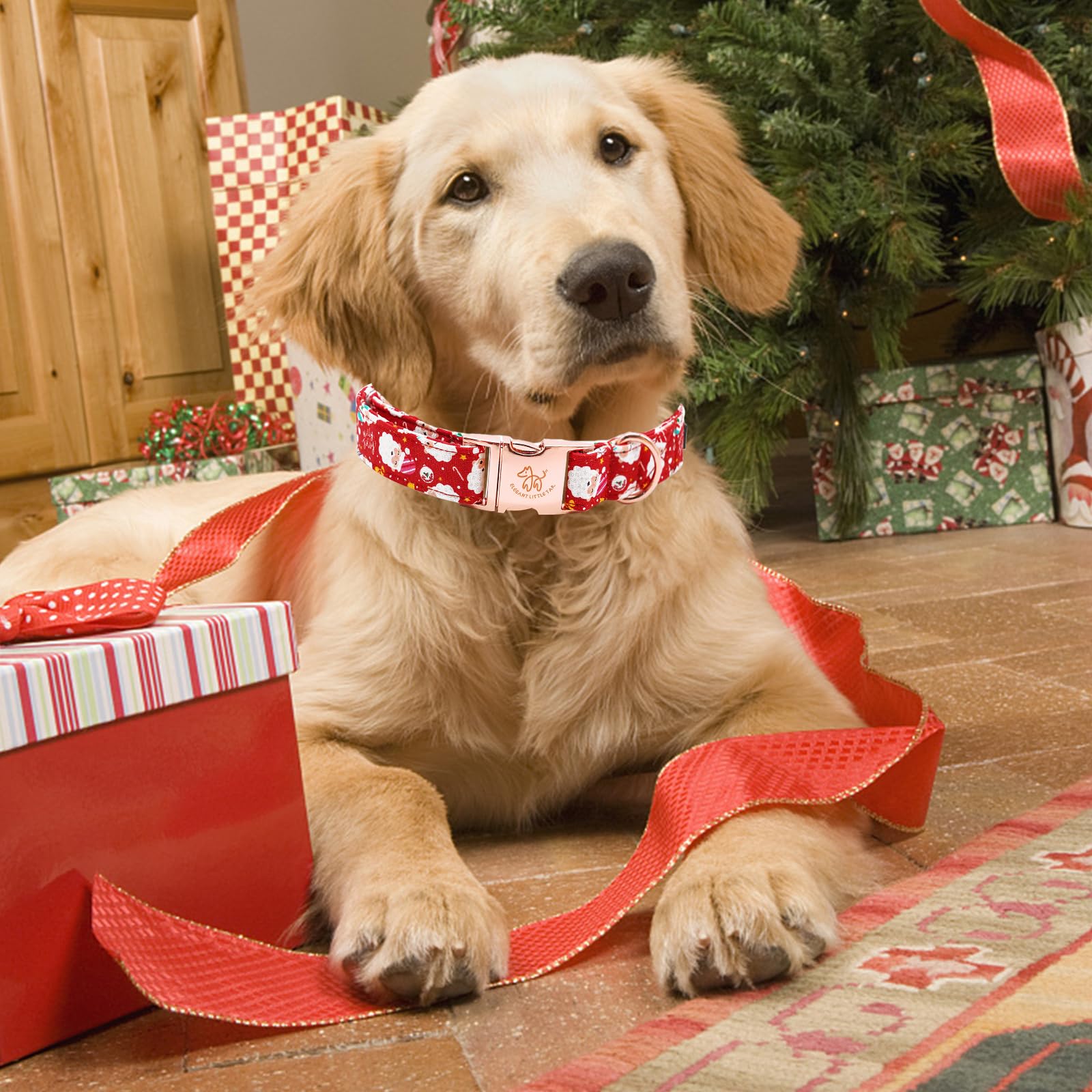 Elegant Little Tail Christmas Dog Collar, Red Santa Claus Print Pet Collar Dog Durable Cute Dog Collars Winter Holiday Male Or F