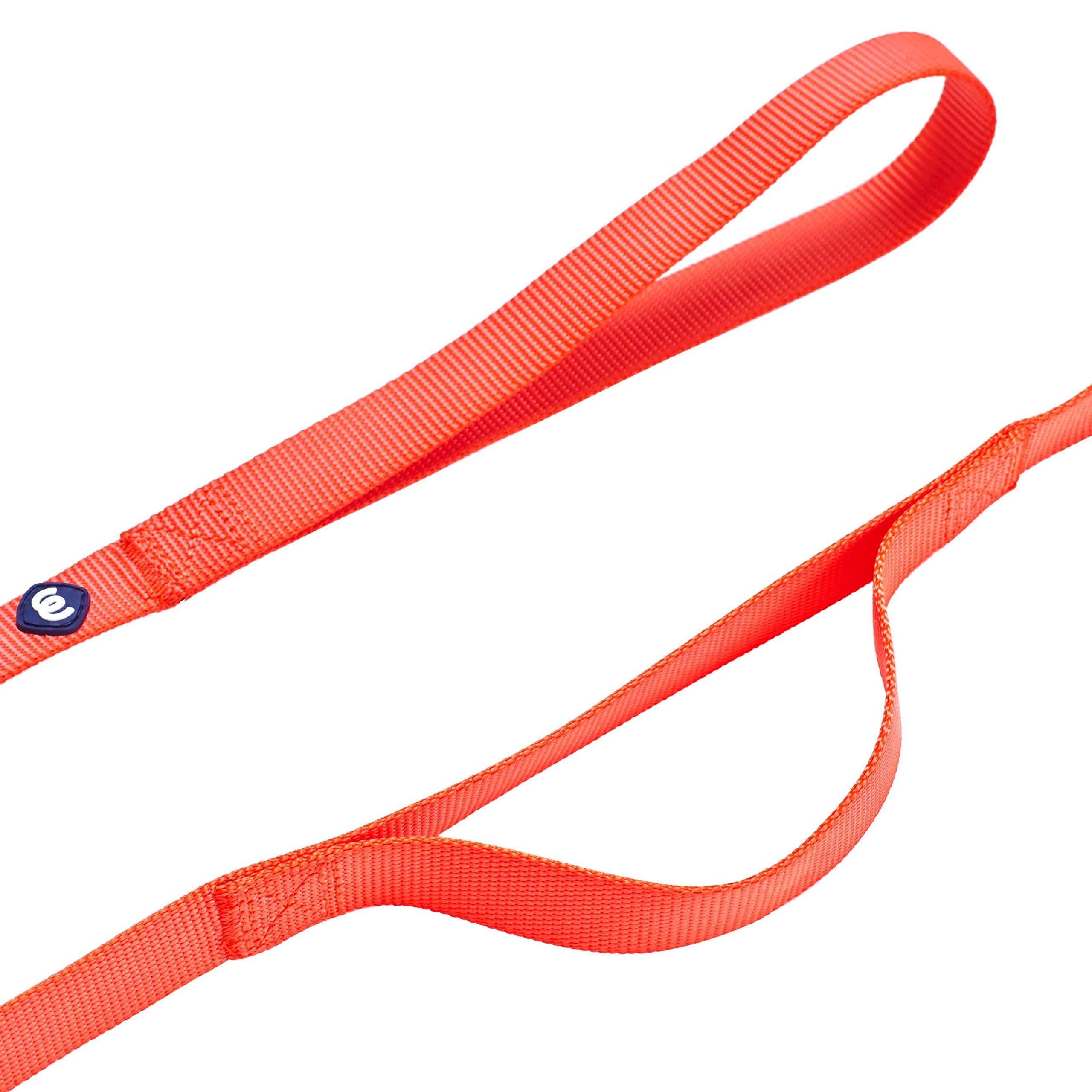 Blueberry Pet Essentials Durable Classic Dog Leash 4 Ft X 1', Florence Orange, Large, Double Handle Leashes For Dogs