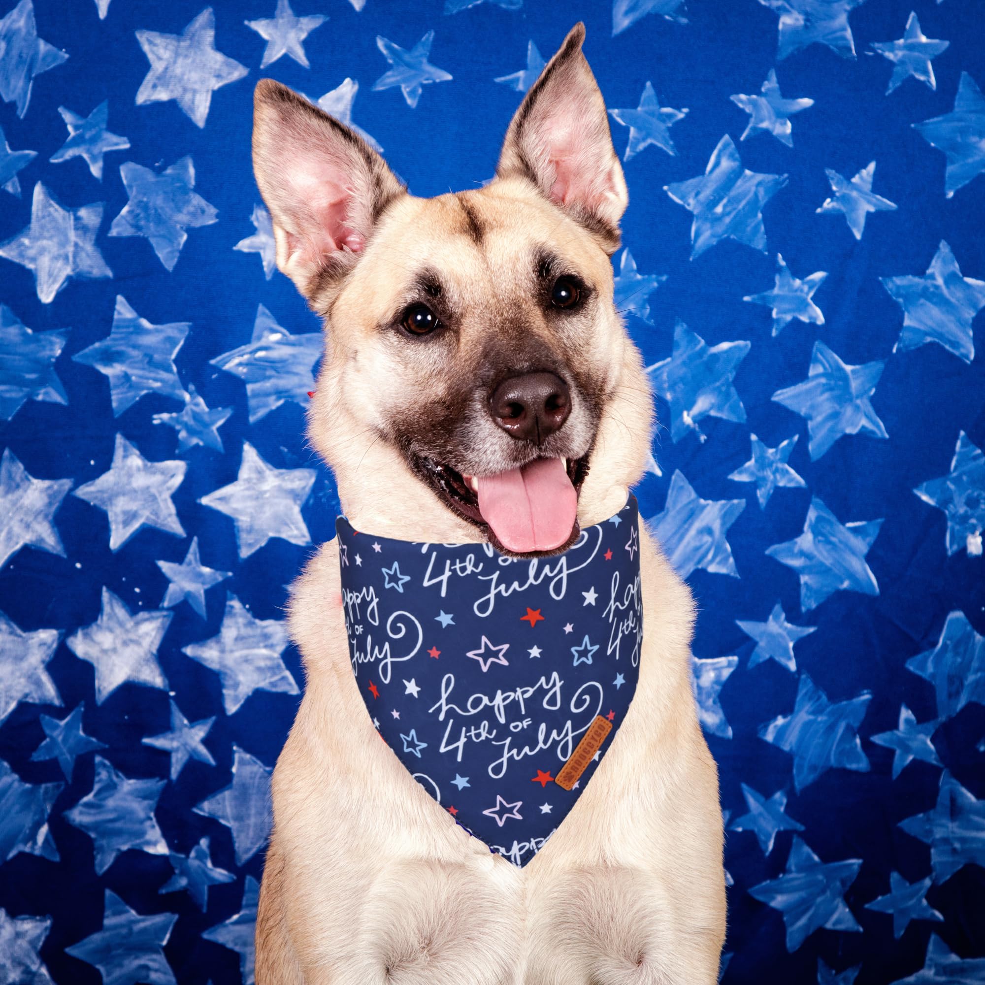 ADOGGYGO American Flag Dog Bandana, White Blue 4th of July Flag Pet Scarf, Premium Durable Fabric, Adjustable Fit 4th of July Ba