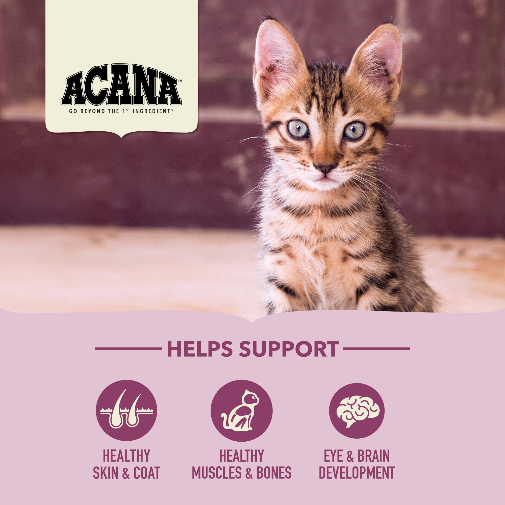 ACANA Dry Cat Food for Kittens, First Feast, Free Run Chicken and Whole Herring, 4lb