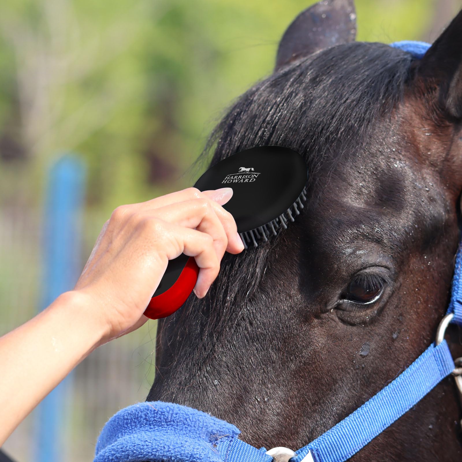 Harrison Howard Horse Mane And Tail Brush Horse Professional Grooming Brush Equestrian Detangler Non-Slip Brush Red