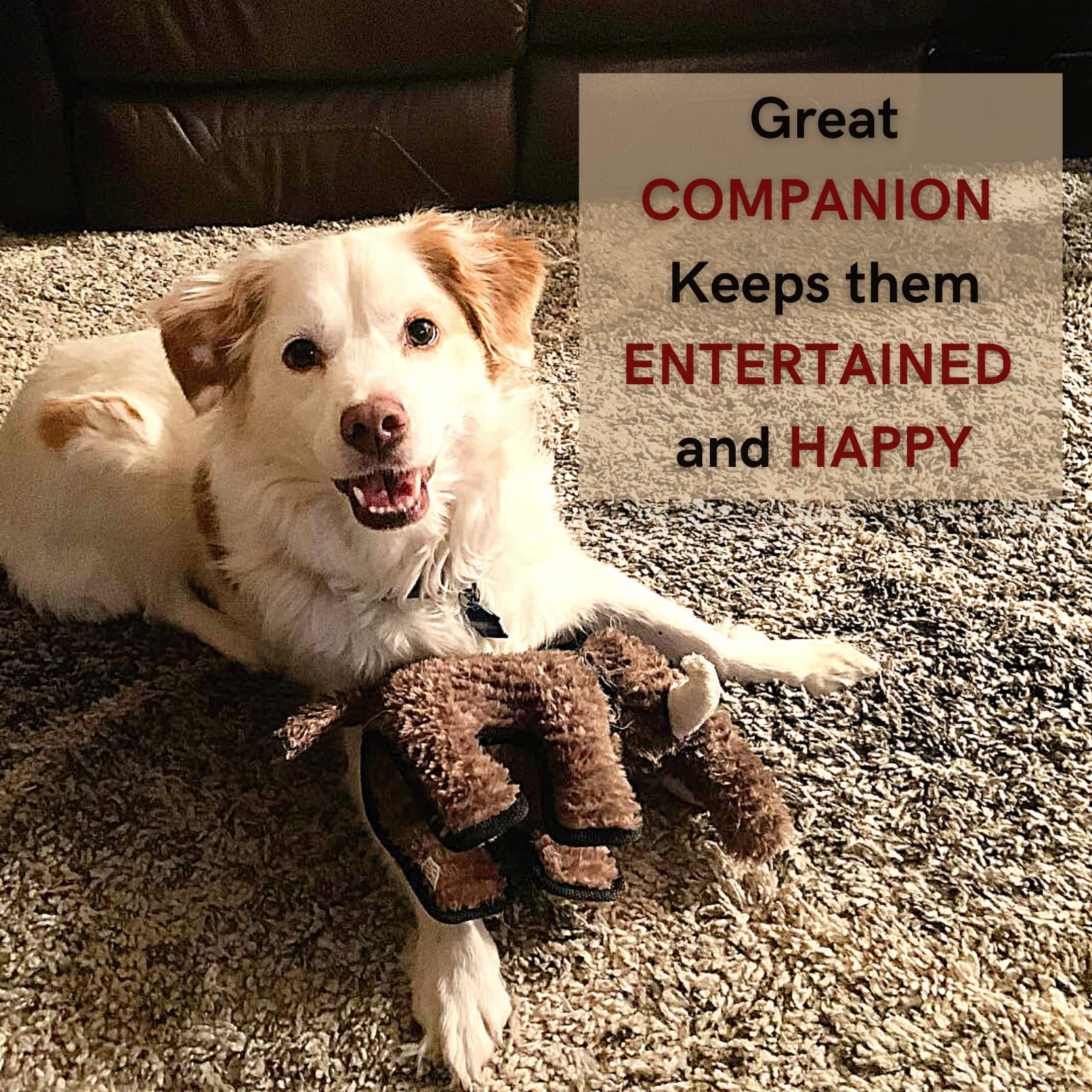 Steel Dog Ruffian T-Rex, Large Plush Dinosaur Dog Toy, Tough & Chew Resistant, With Tennis Ball & Crinkle Body, For Small, Mediu