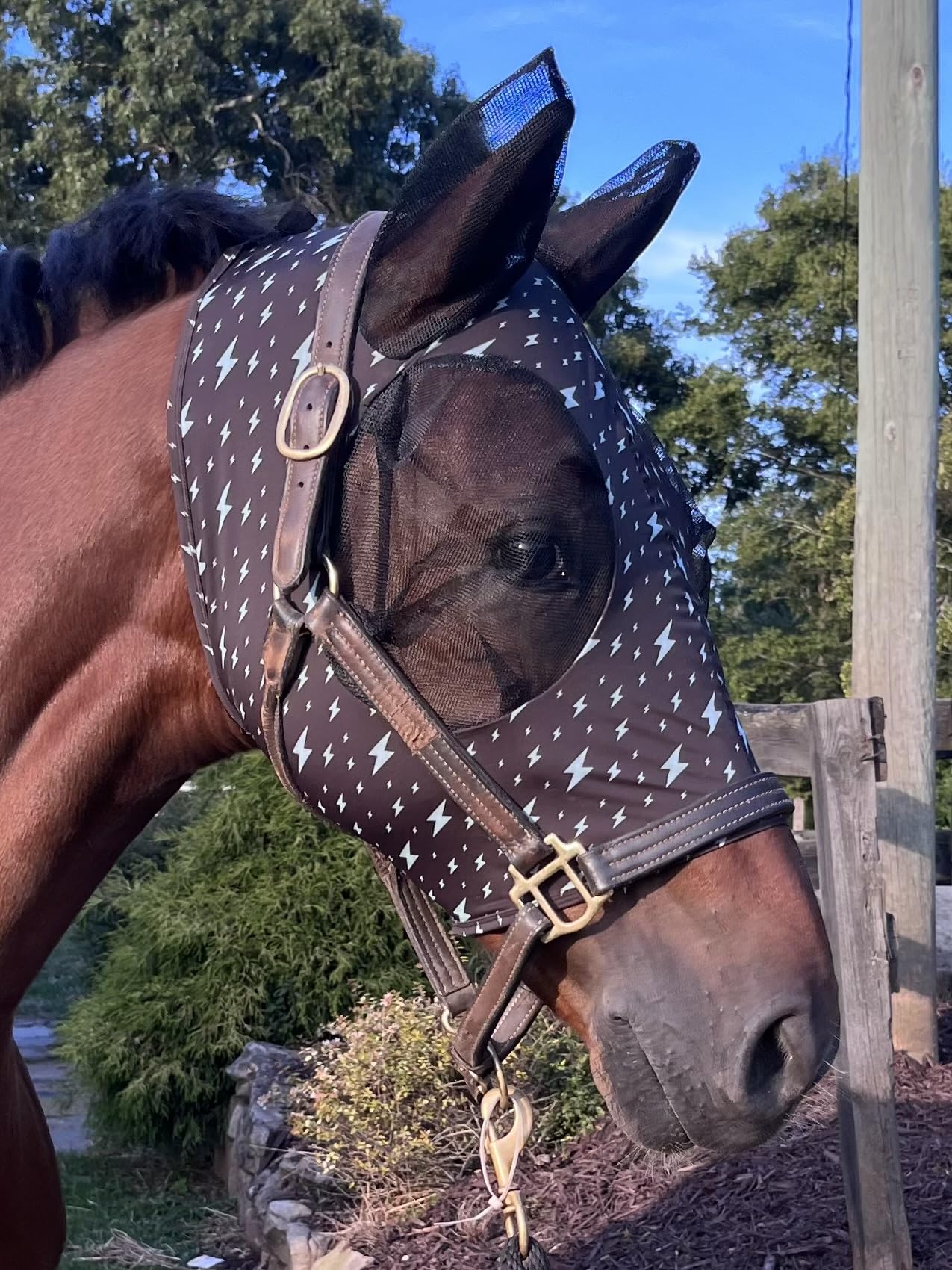 Stretchy Horse Fly Mask with Ears Comfort Fit Mesh Trail Pasture Sun UV Protection
