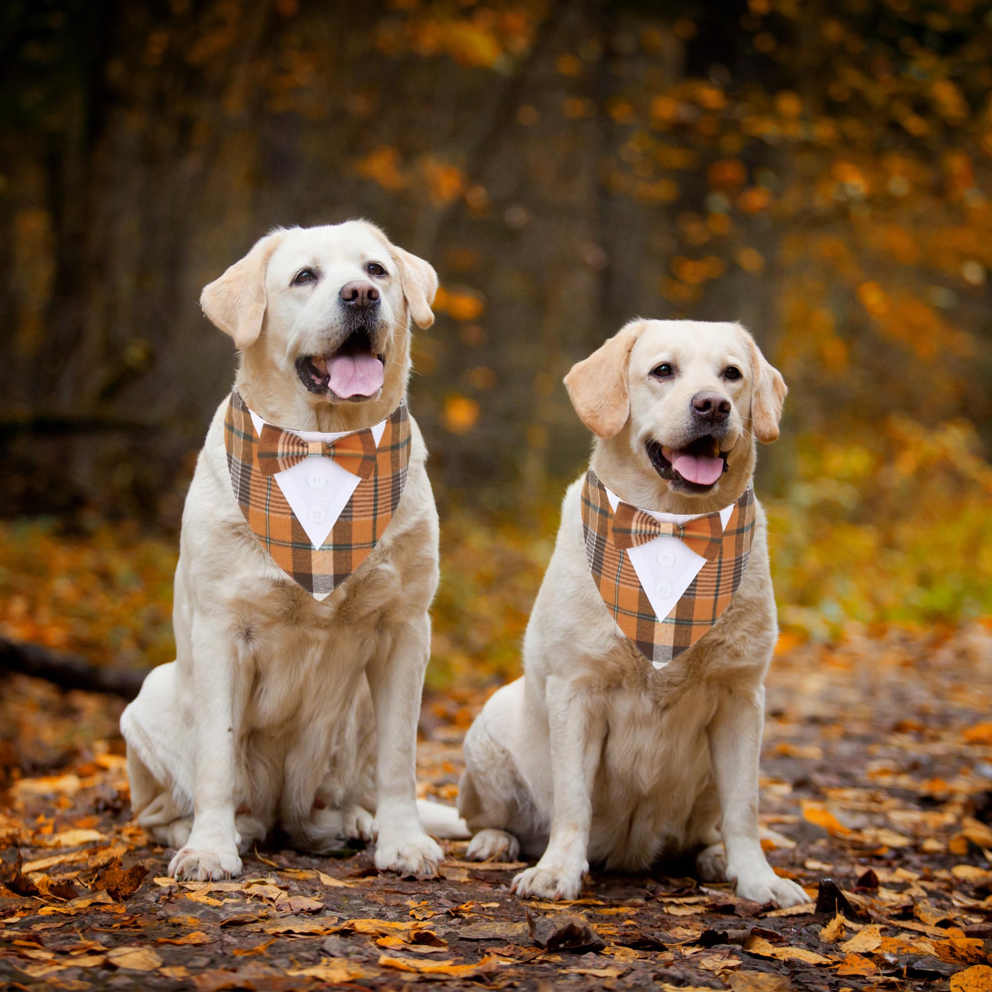 Adoggygo Fall Dog Tuxedo Bandana, Orange Plaid Dog Tux Collar With Bowtie Adjustable Dog Halloween Thanksgiving Formal Costume For Large And Extra Large Dogs Pets (Xl, Fall)