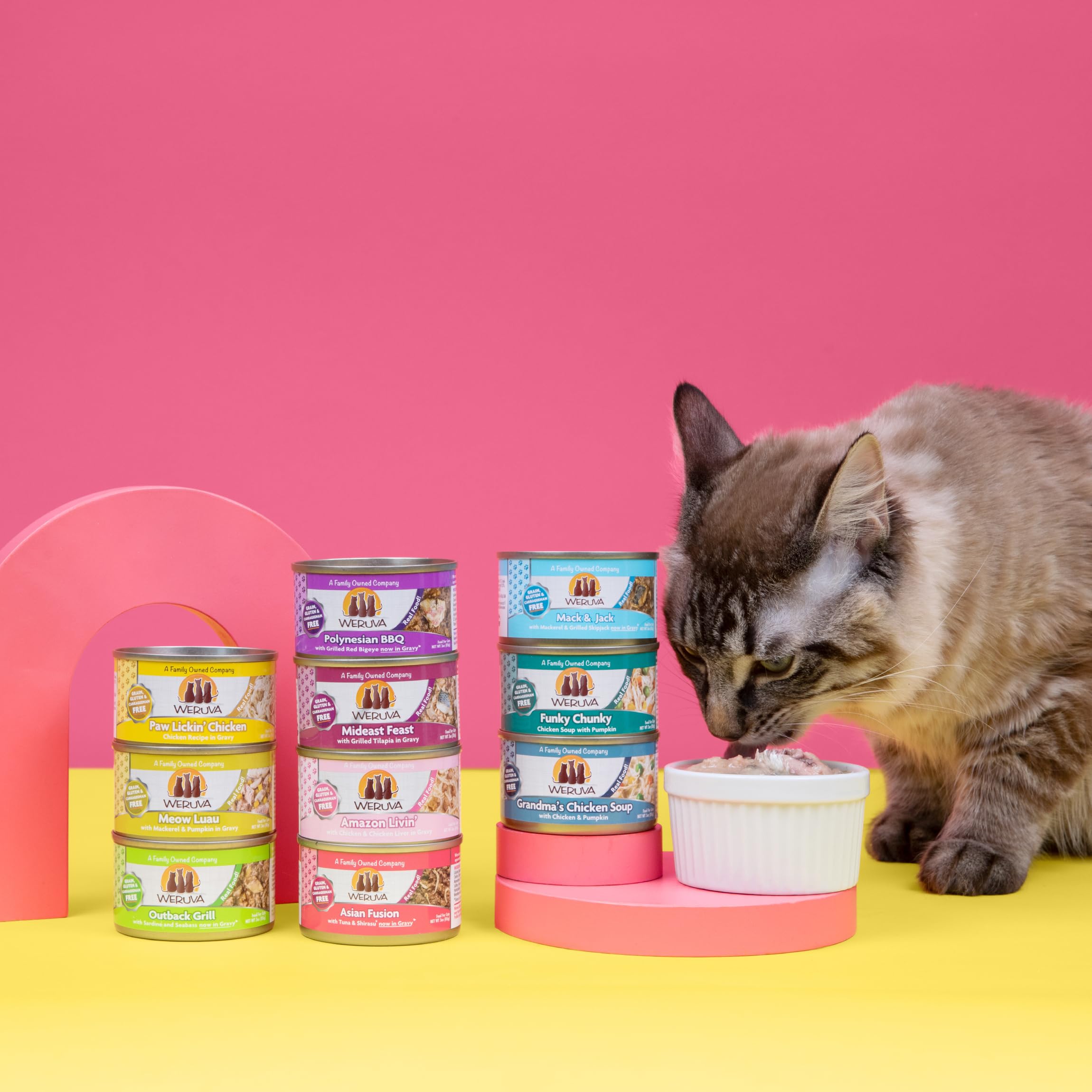 Weruva Classic Cat Food, Variety Pack, Paw Lickin Pals Wet Cat Food, 5.5oz Cans (Pack of 24)