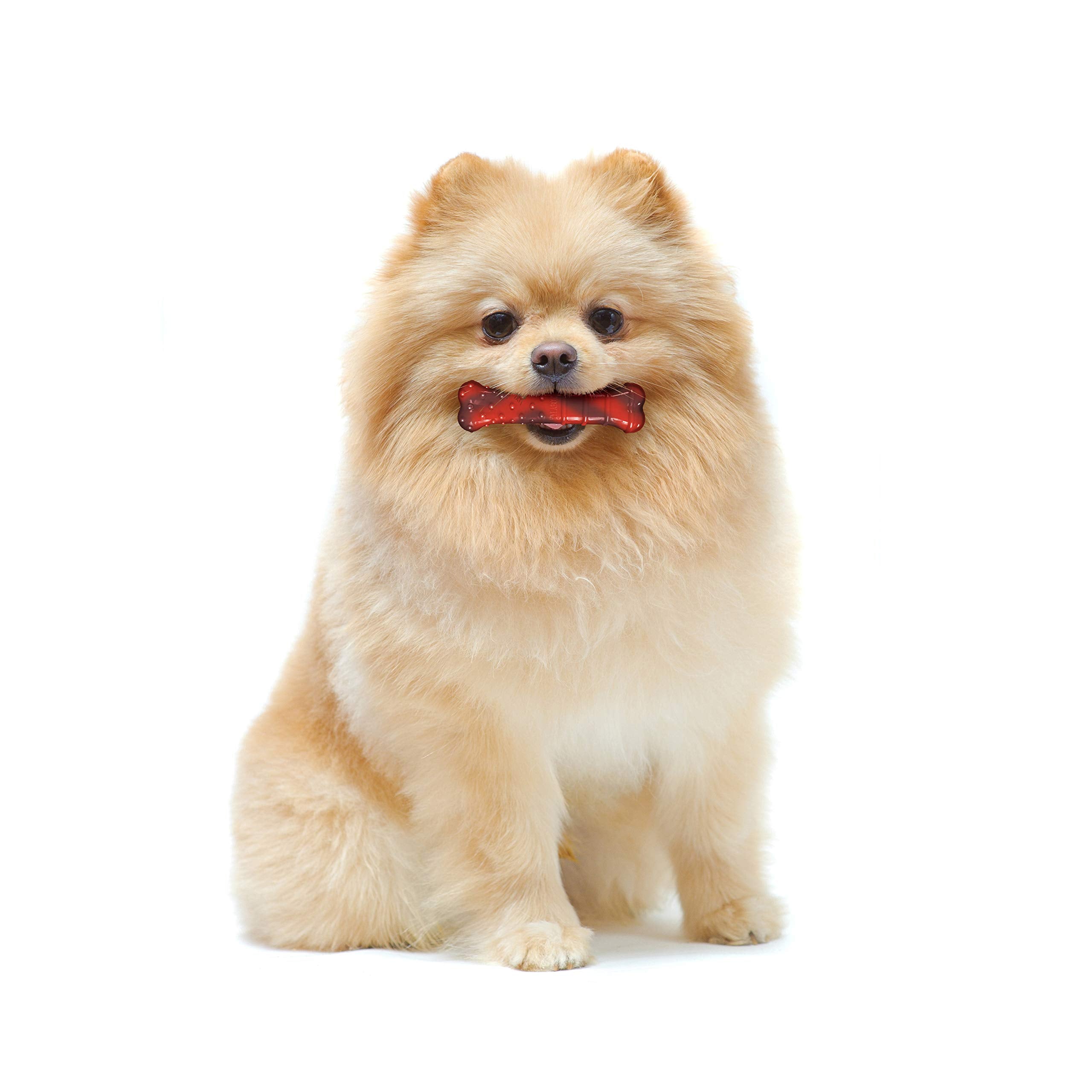 Nylabone Original Bone Power Chew Toy For Dogs, Indestructible Dog Toys For Aggressive Chewers, Beef Jerky Flavor, X-Small - Up To 15 Lbs, 1 Count