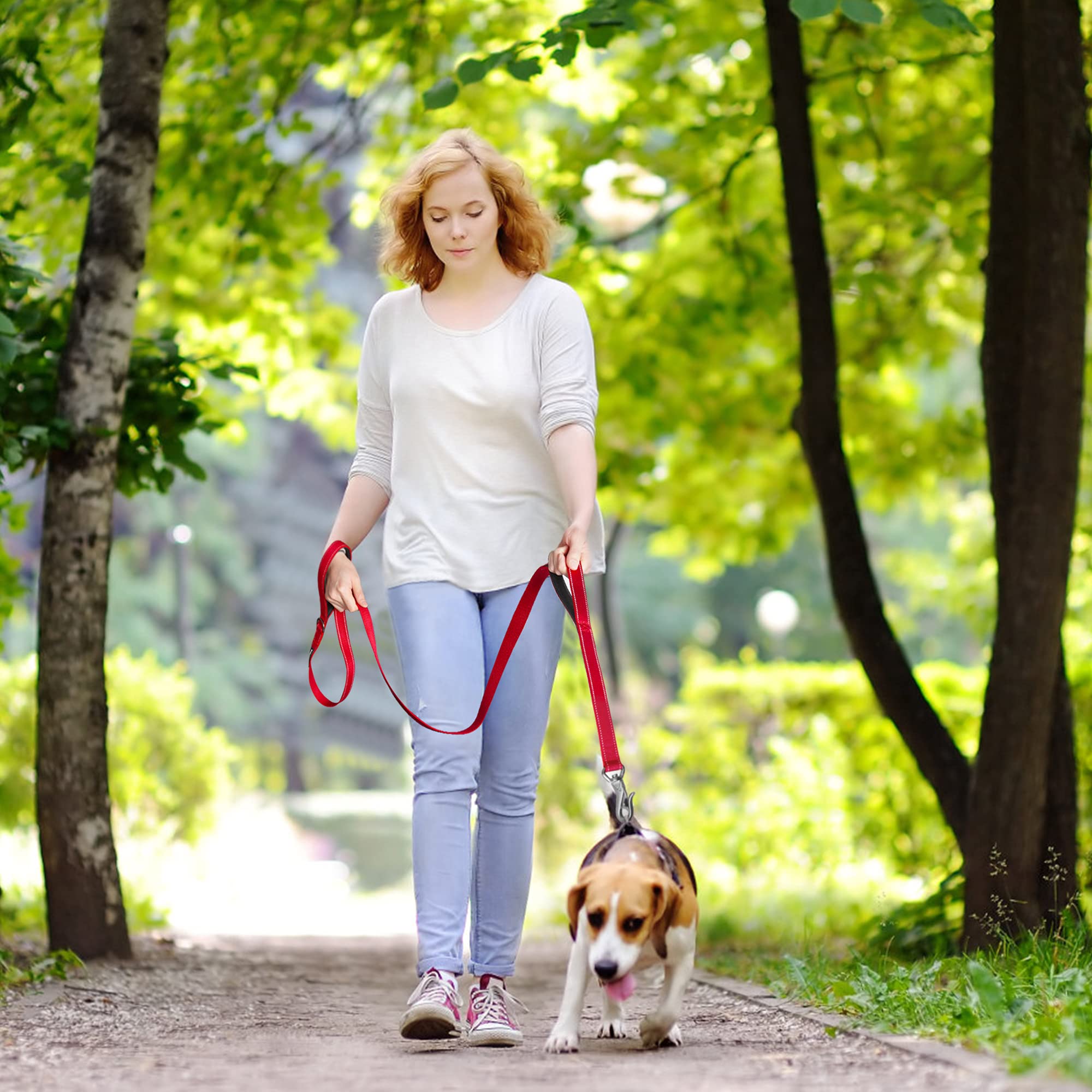 Fida Heavy Duty Dog Leash - 5 FT Nylon with Padded Handles, Reflective, Red