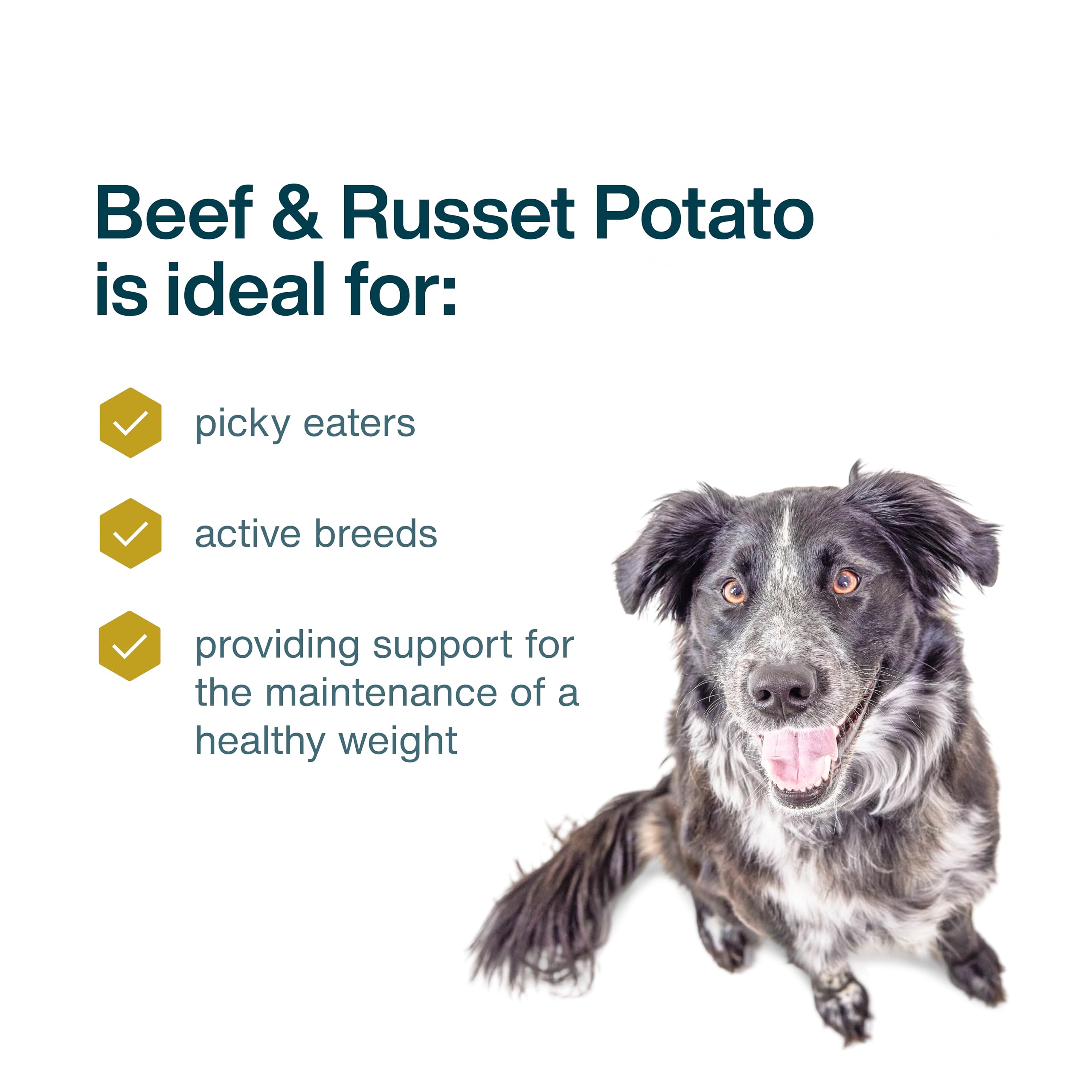 JustFoodForDogs Frozen Fresh Dog Food, Complete Meal or Dog Food Topper, Beef & Russet Potato Human Grade Dog Food Recipe, 18 oz