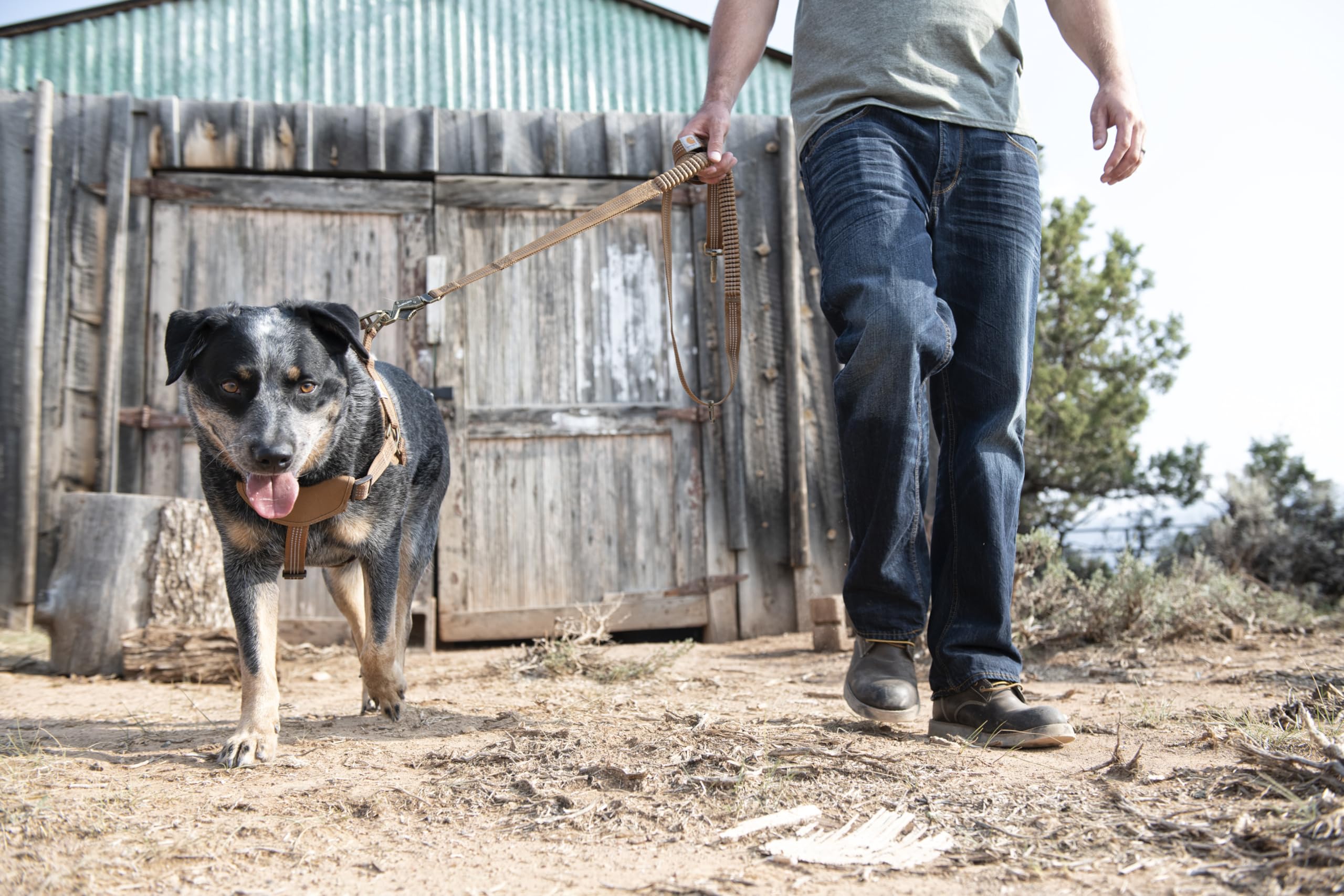Carhartt Nylon Duck Training Dog Harness, Carhartt Brown, Small