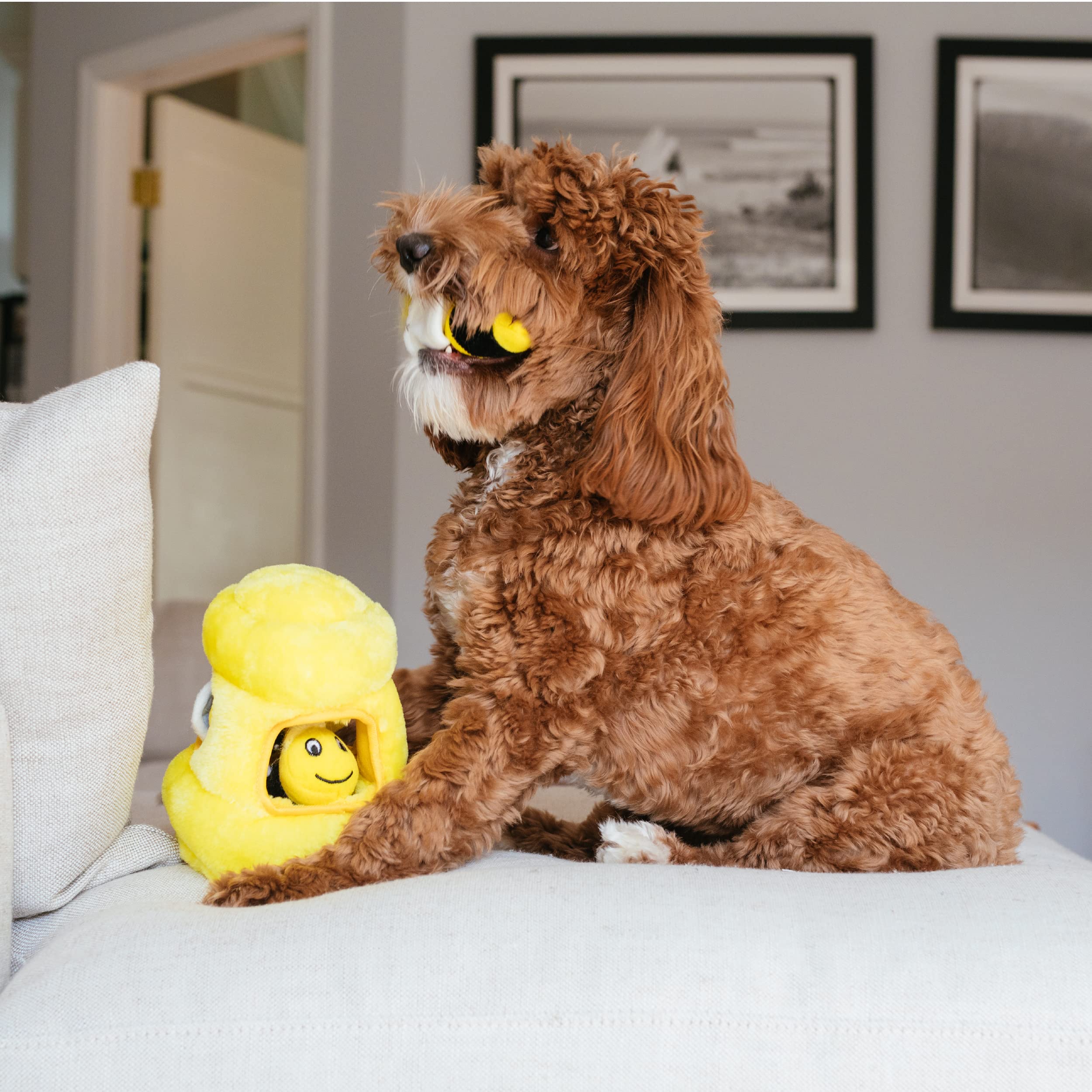 Outward Hound Hide A Bee Plush Dog Toy Puzzle