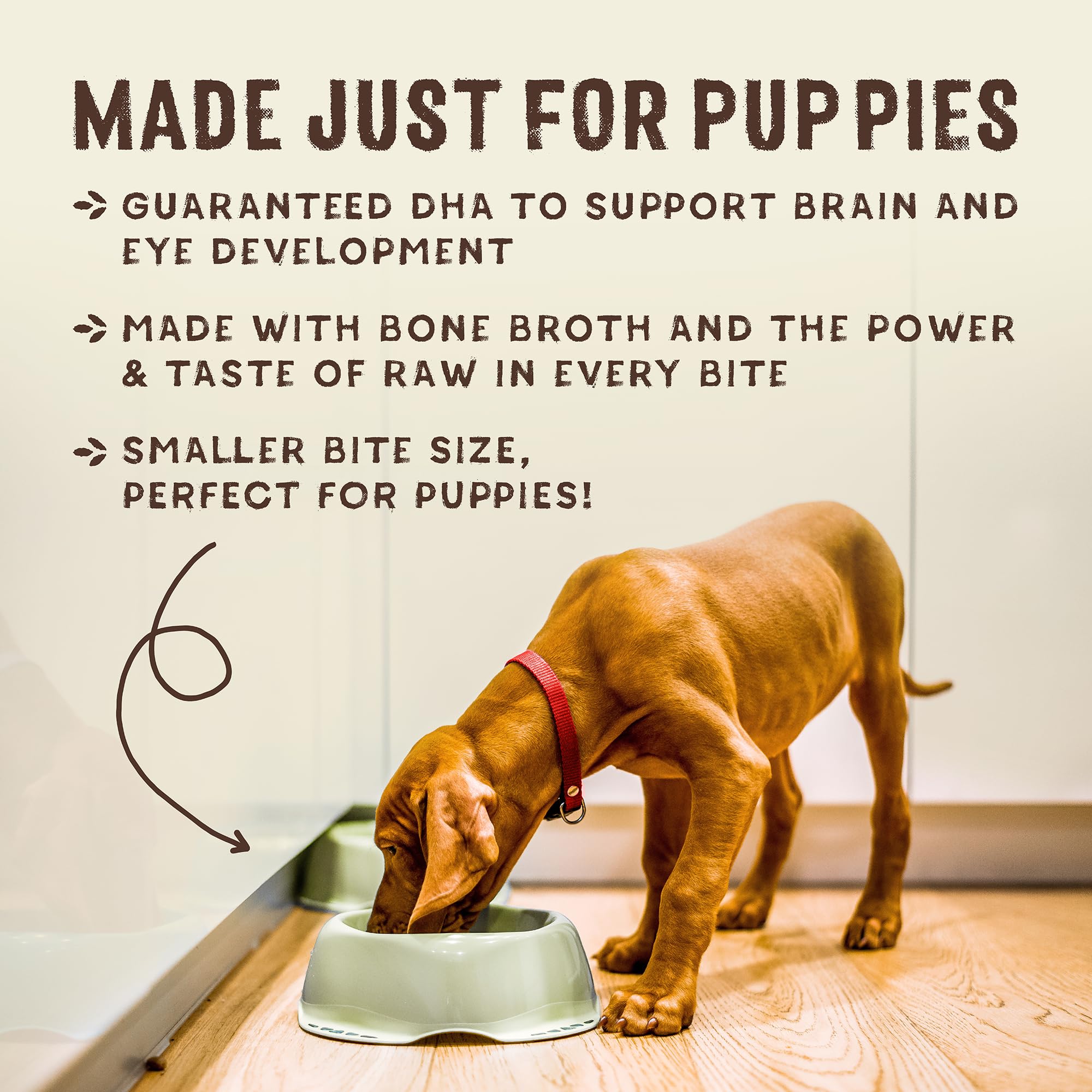 Stella & Chewys SuperBlends Raw Coated Wholesome Grains Puppy Cage-Free Chicken & Wild-Caught Salmon Recipe with Superfoods, 3.