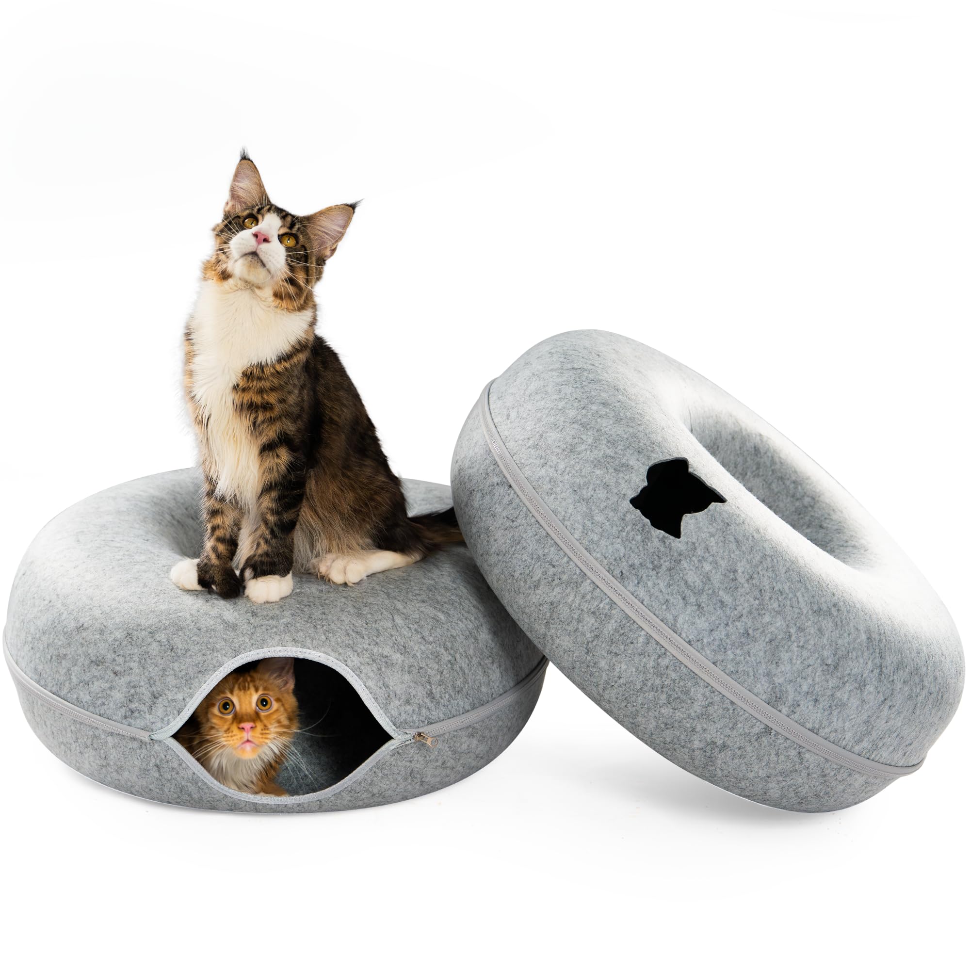Cattasaurus Peekaboo Cat Cave, Extra Spacious For Multiple & Large Cats 12+ Lbs, Scratch Detachable Cat Beds For Indoor Cats, Wa