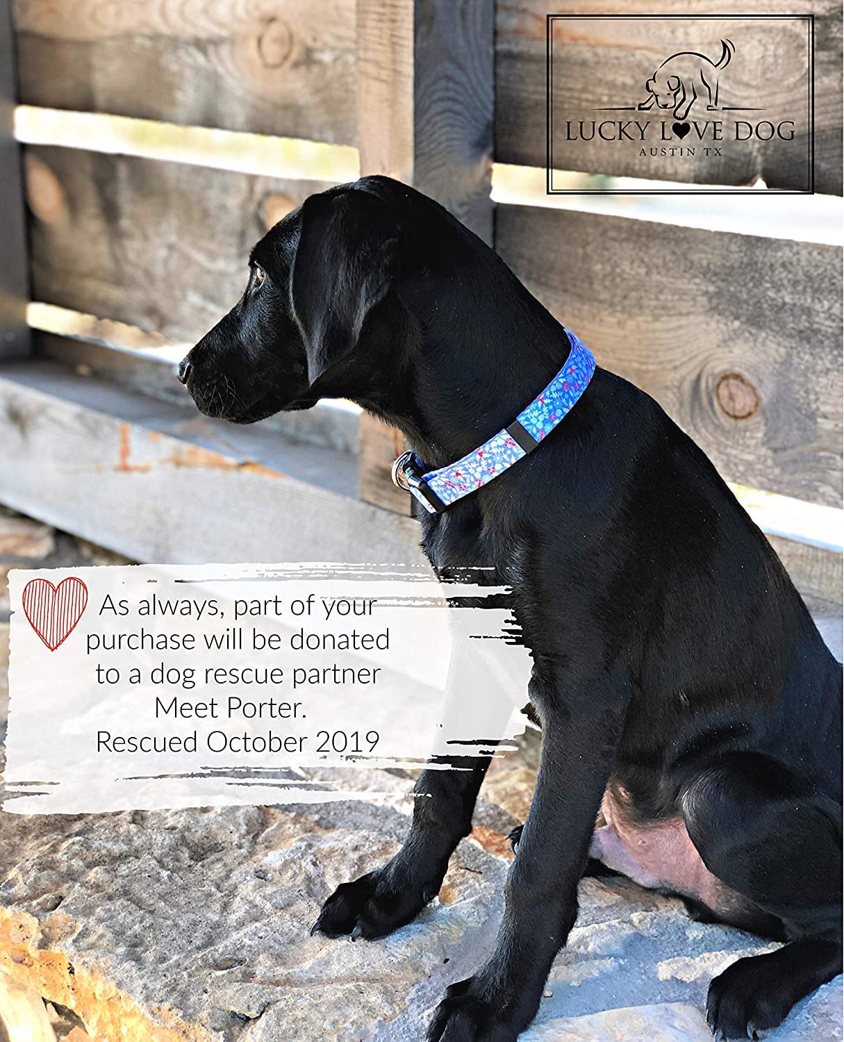 Lucky Love Dog Dog Collar, Leash Set Small, Medium, Large, Premium, Cute And Adjustable Collars For Male And Female Dogs, Winterblue Combo, Extra Small