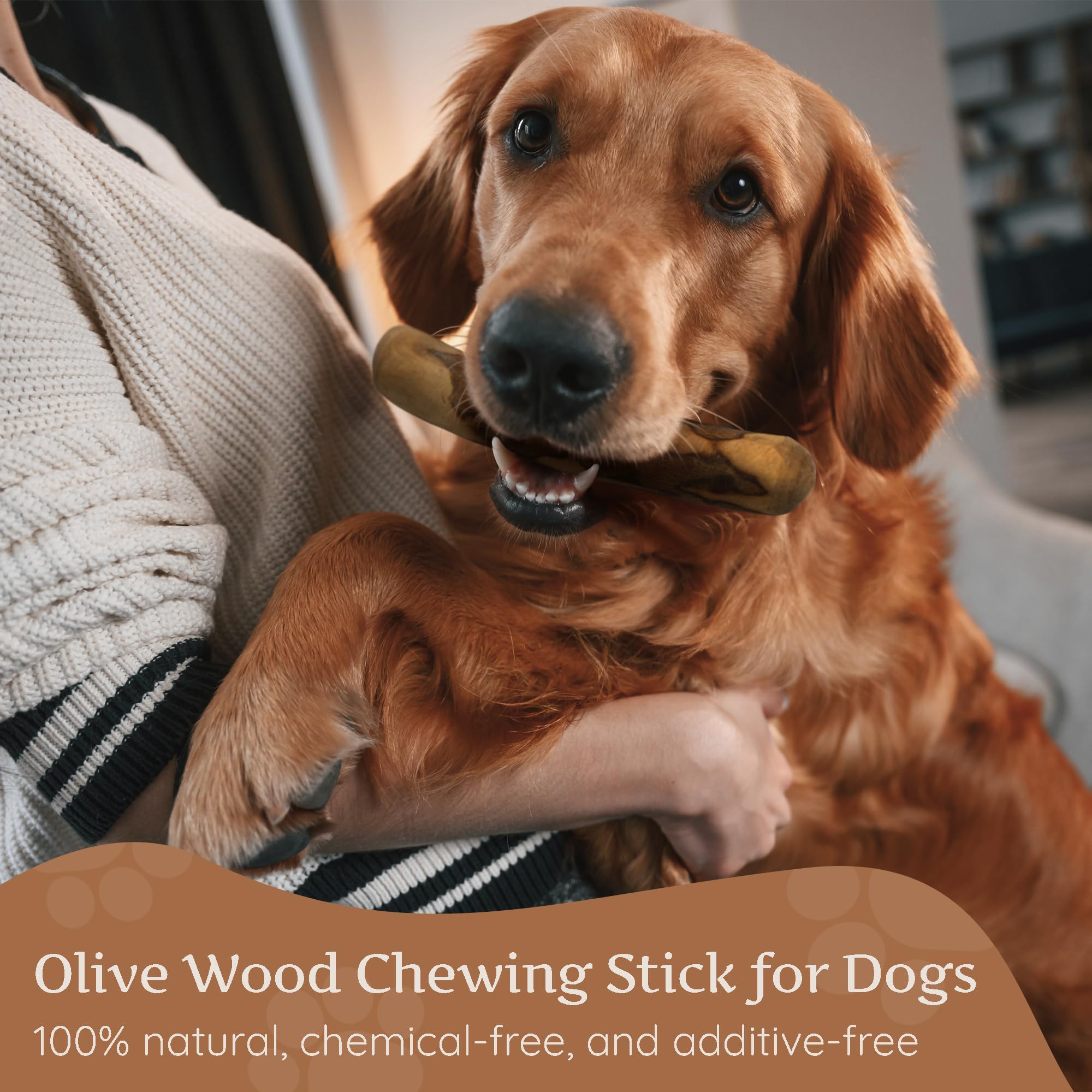 Wildfang® Olive Wood Dog Chew Puppy Teething Toys Dog Stick Toy-Long Lasting Natural Chew Toys For Dogs, Root Chews For Dogs, Wooden Dog Chew Stick, Tree Root Dog Bones, Wood Chew For All Dogs-Large