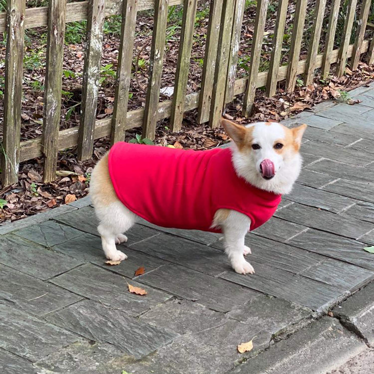 Dog Winter Vest Warm Breathable Dog Polar Fleece Vest Jacket, Lightweight Winter Coat With Leash Neck Hole For Small Medium Large Dogs Red Xl