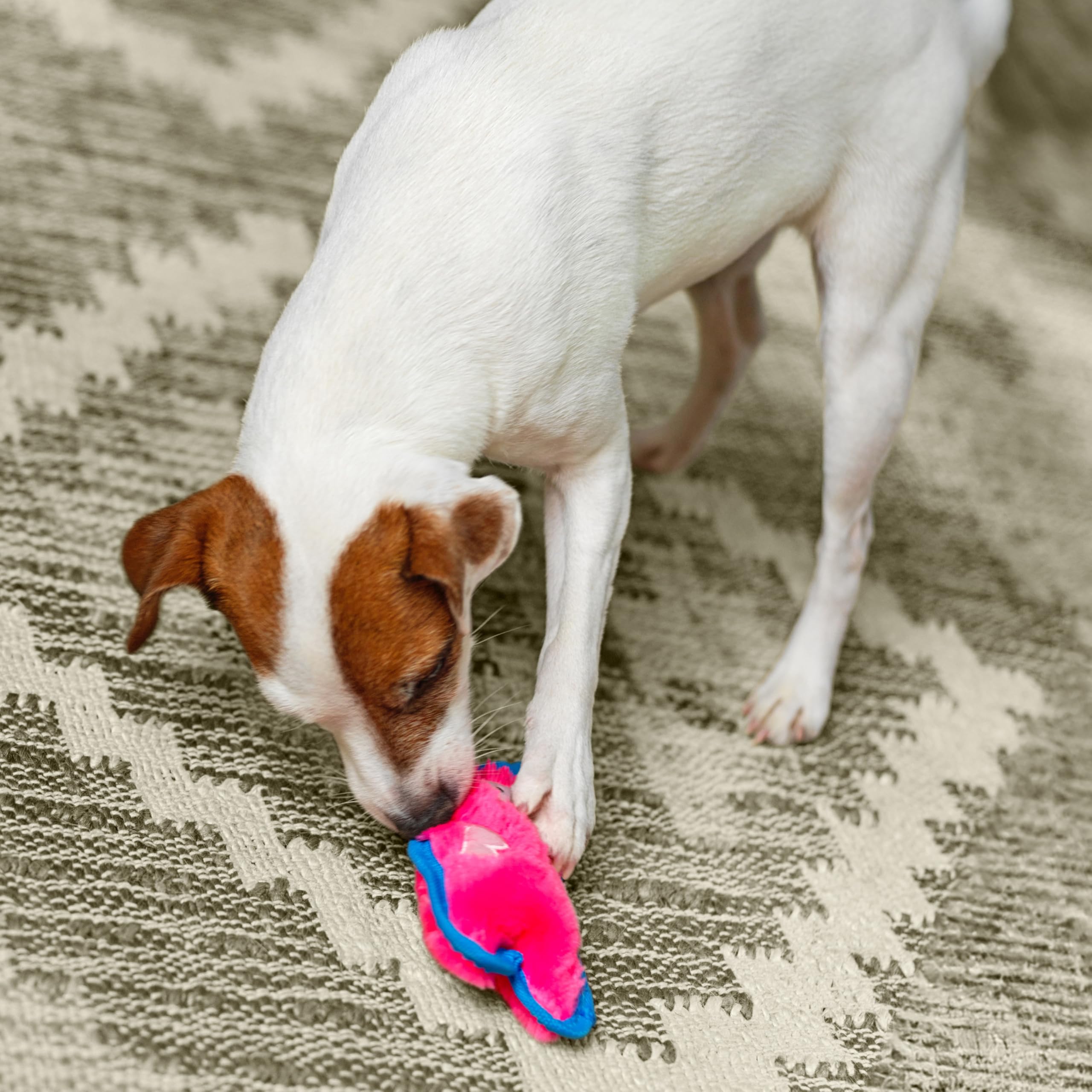 Outward Hound Durablez Tough Plush Squeaky Dog Toy, Pig, Pink, Xs