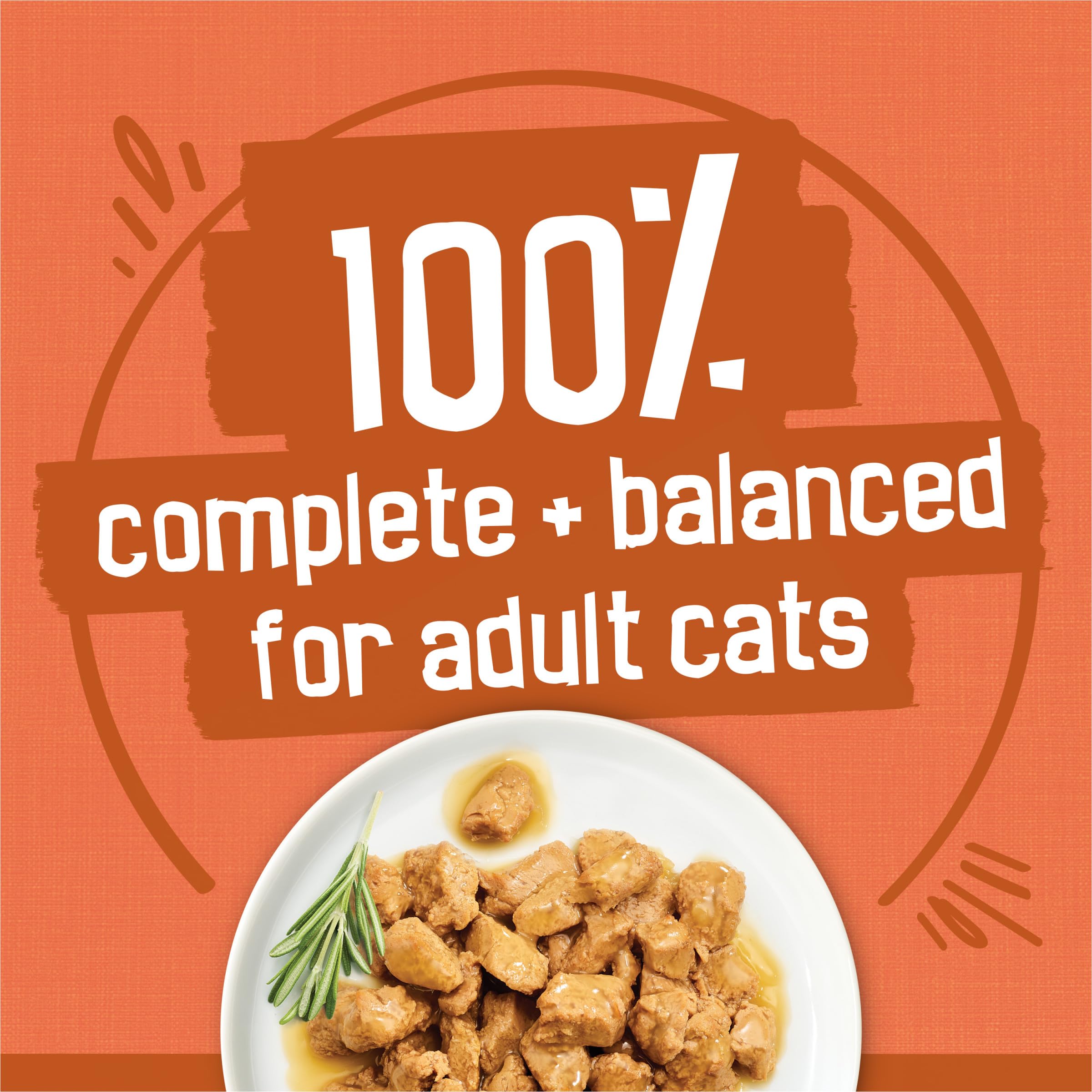 Purina Friskies Wet Cat Food Gravy Variety Pack, TurChicken Extra Gravy Chunky, Meaty Bits and Prime Filets - 48 ct. Can