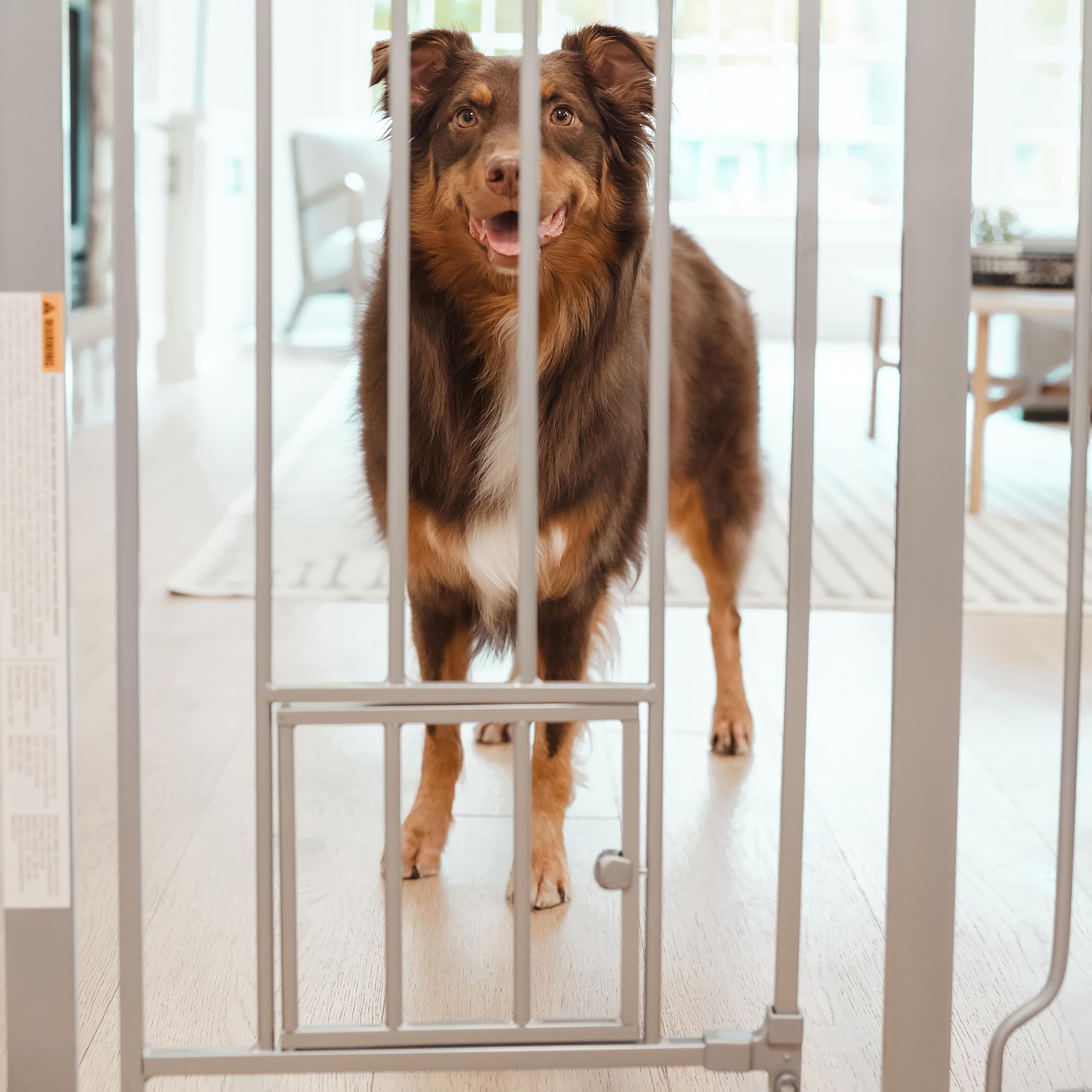 Carlson Extra Tall Walk Through Pet Gate With Small Pet Door, Includes 4-Inch Extension Kit, 4 Pack Pressure Mount Kit And 4 Pack Wall Mount Kit, Platinum, Gray