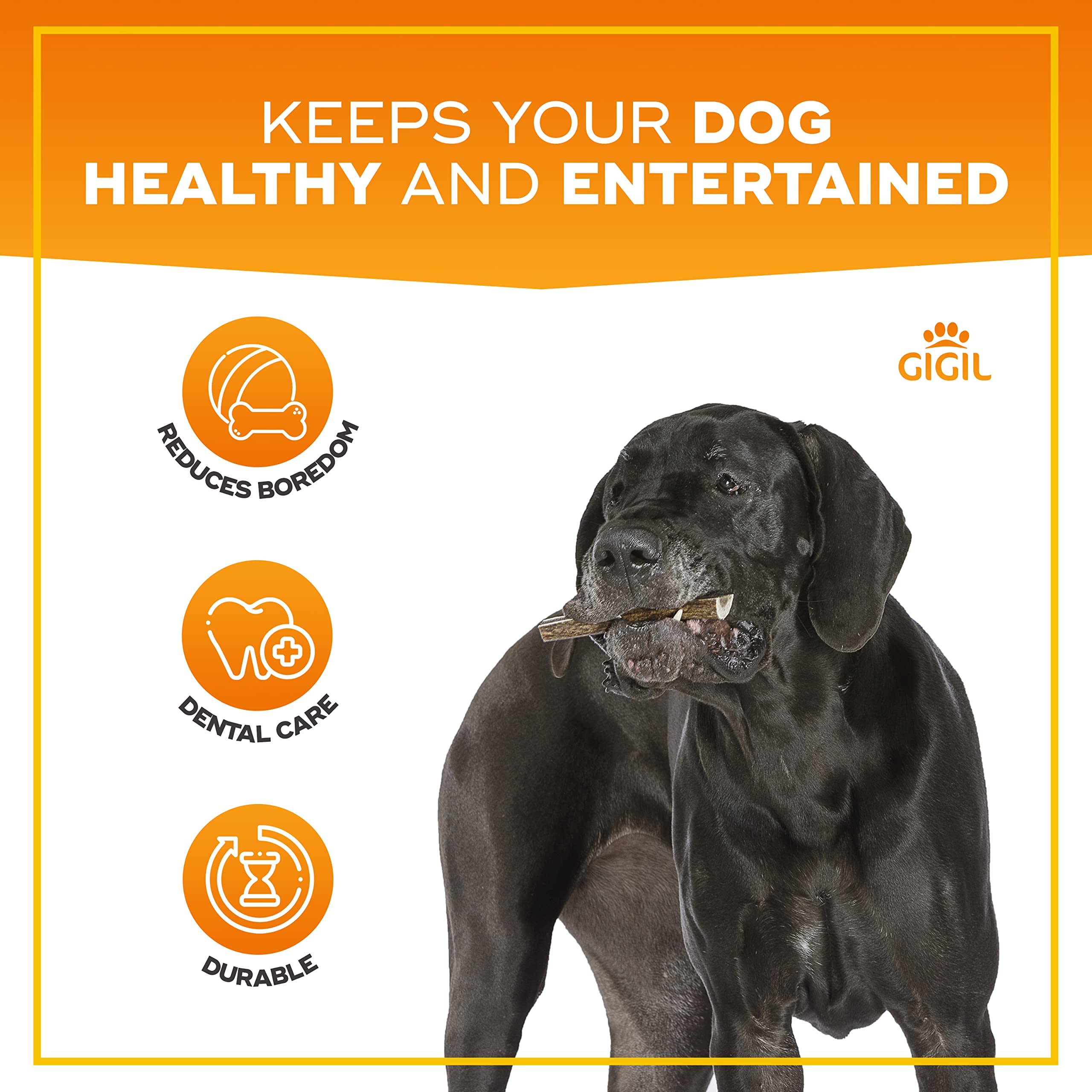 GIGIL Treat You Pet Like a King - 100% Natural Deer Split Antlers for Medium Dogs - Premium Elk Antlers - Long Lasting Dog Chew