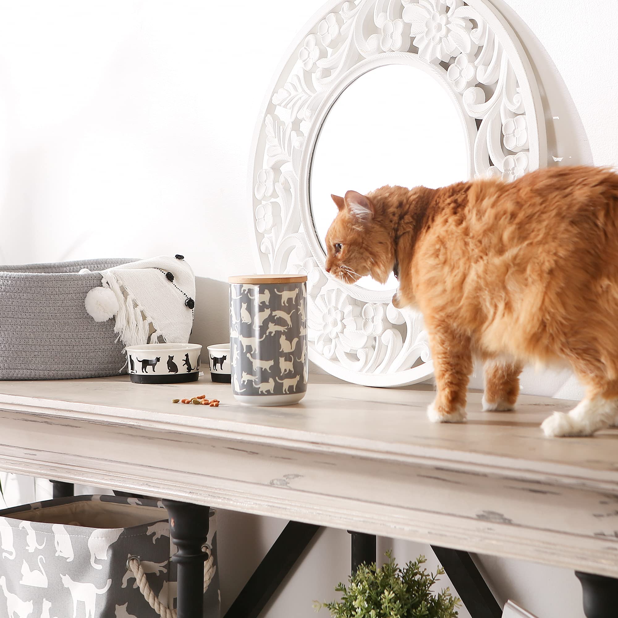 Bone Dry Ceramic Treat Jar for Cats and Dogs, Bamboo Lid, Dishwasher Safe Canister, 4x6.5, Gray, Cat Treats
