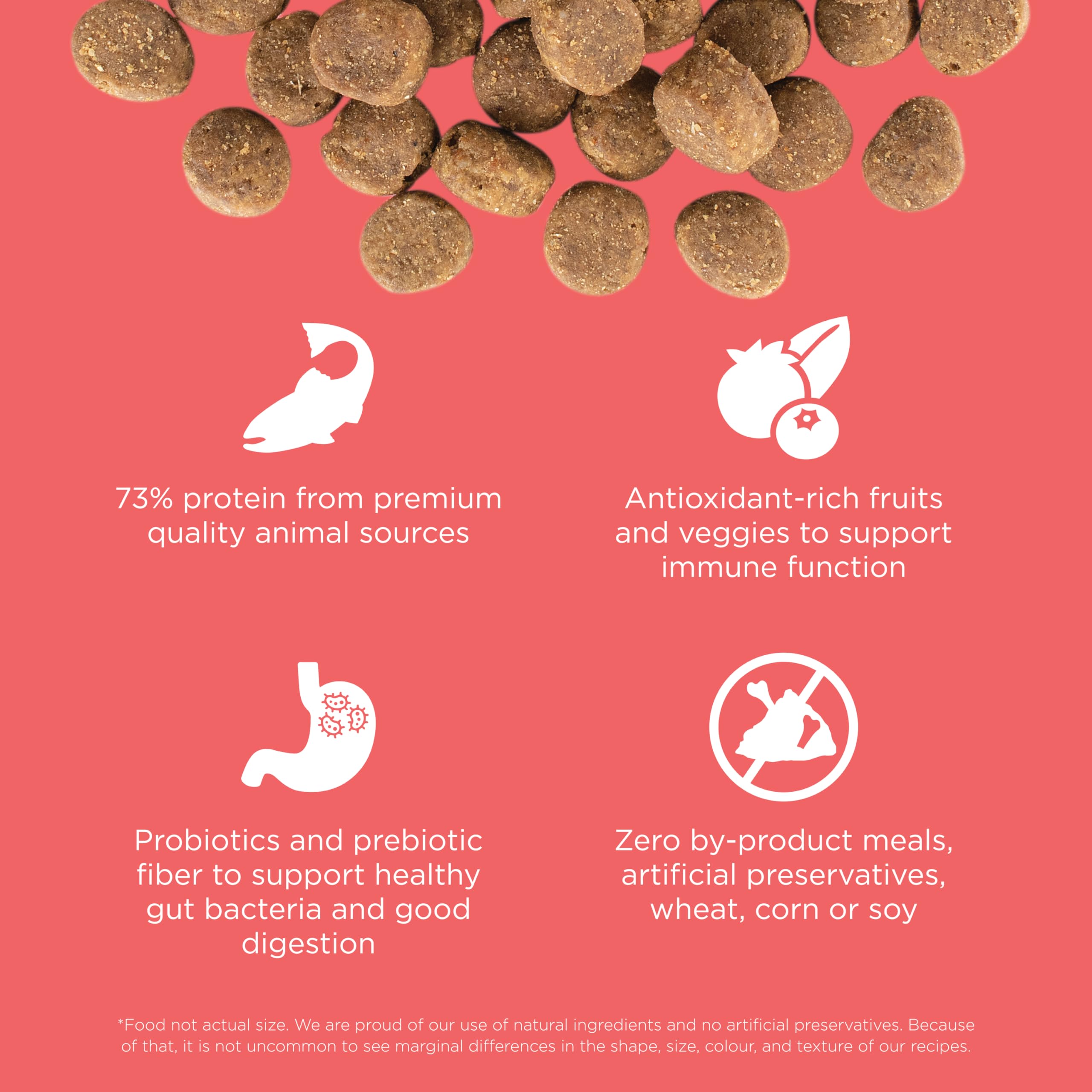 Go! Solutions Carnivore, Grain-Free, Protein Rich Dry Dog Food, Salmon and Cod Recipe, 12 lb Bag