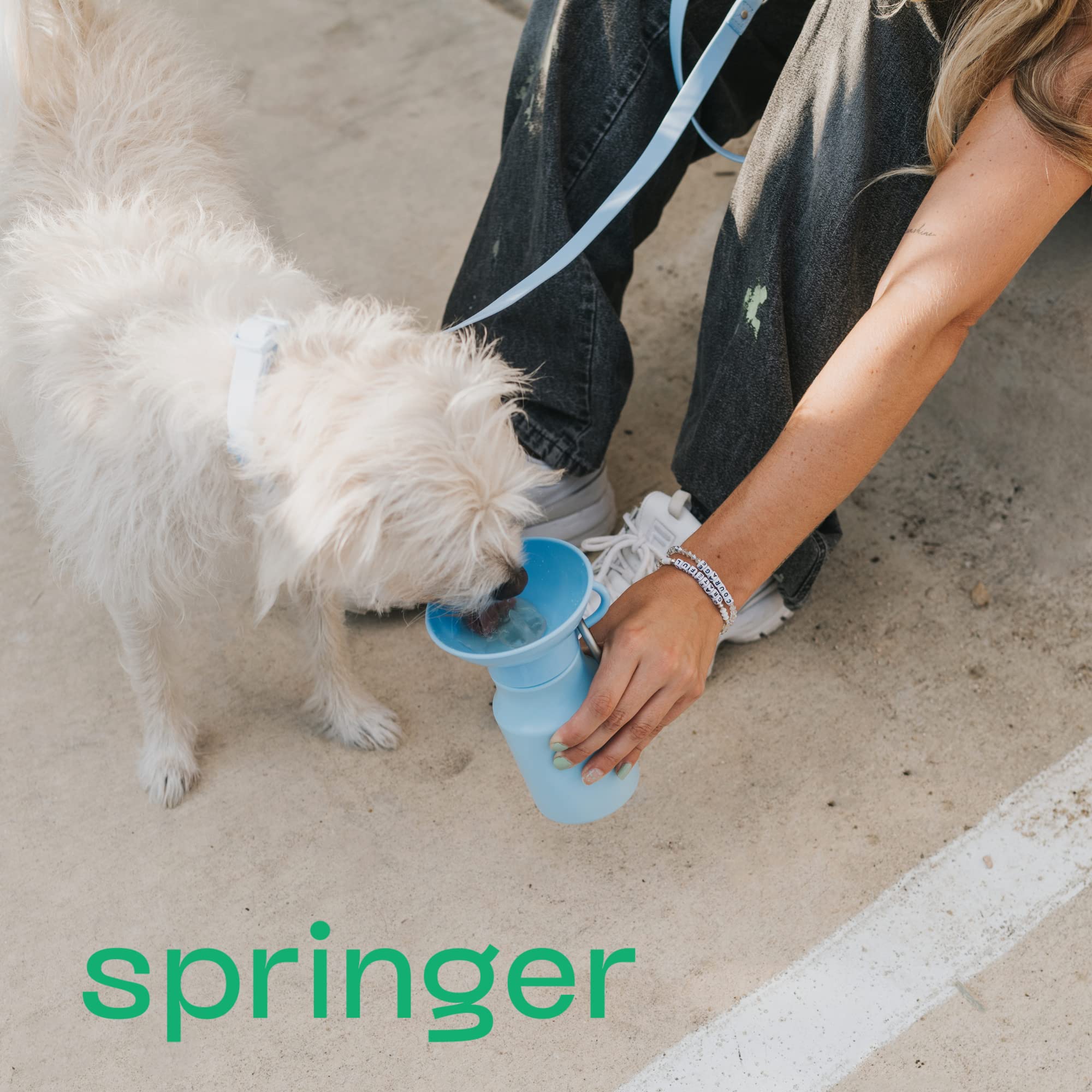 Springer Dog Travel Water Bottle | As Seen On Shark Tank | Patented, Leak-Proof, Portable Water Bottle For Dogs | Bpa-Free 15Oz Mini Skly Blue