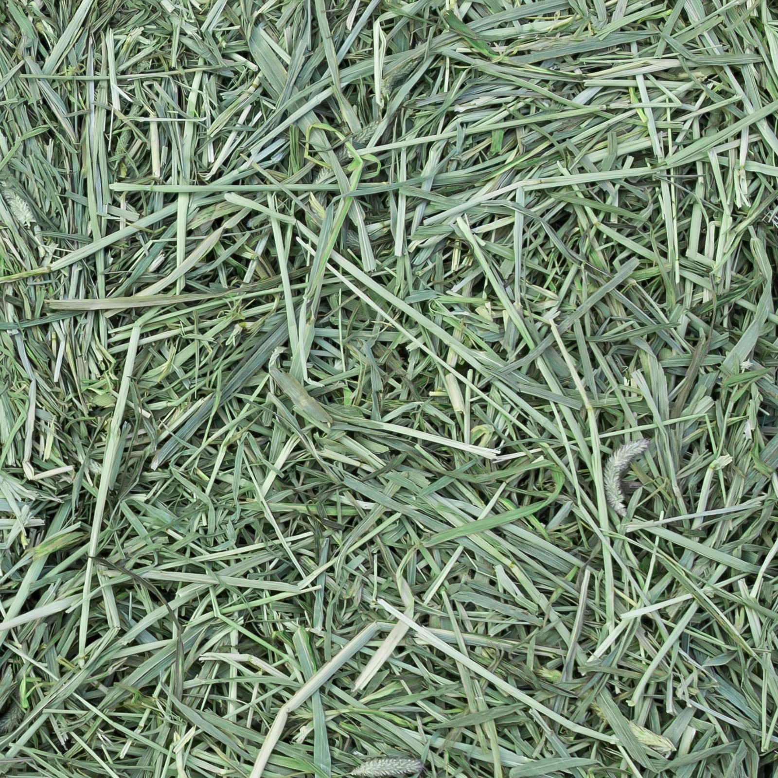 Eaton Pet and Pasture Naturally Grown, Premium, 1st Cut Blend, Western Timothy Hay Orchard Blend, Small Animal Food, Sustainable