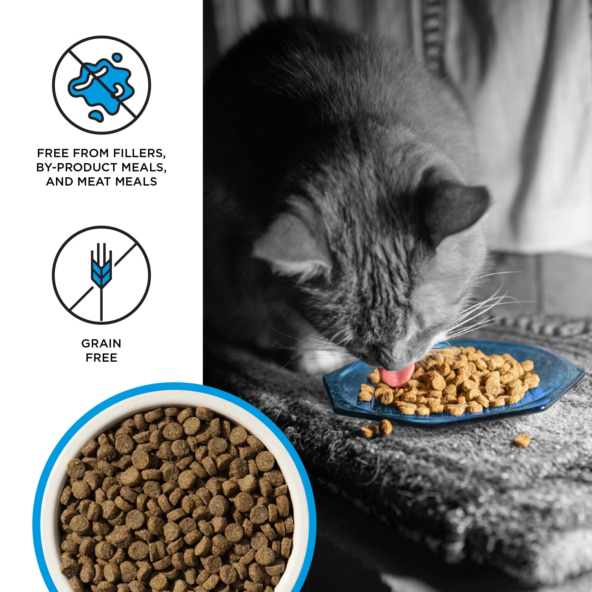 Liberty Dry Food Salmon Recipe for Cats, 10lb