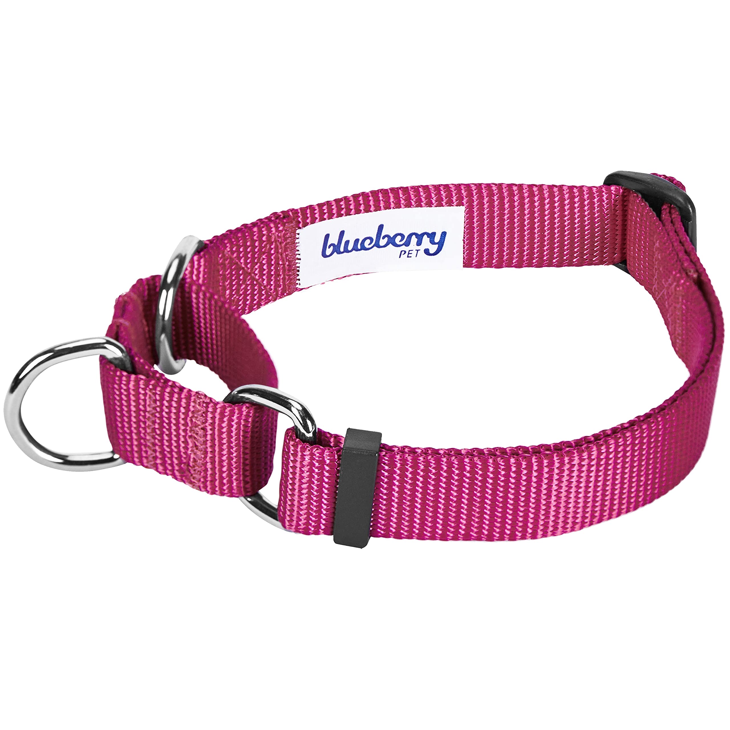 Blueberry Pet Essentials Martingale Safety Training Dog Collar, Very Berry, Small, Heavy Duty Nylon Adjustable Collars For Dogs