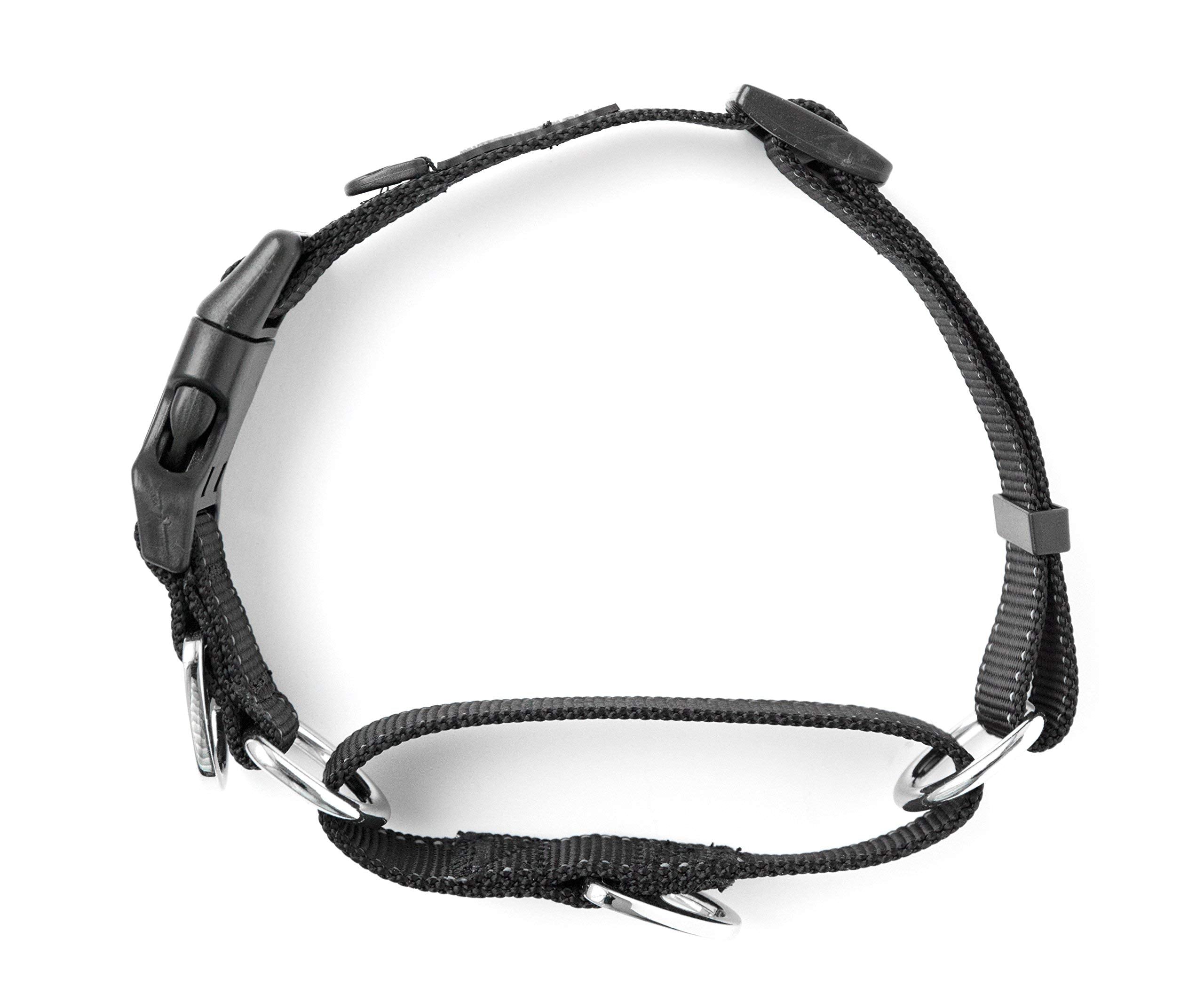 Mighty Paw Martingale Nylon Dog Collar - Martingale Training Collar - Slip Design For Controlled Pet Training Collars - Enhanced