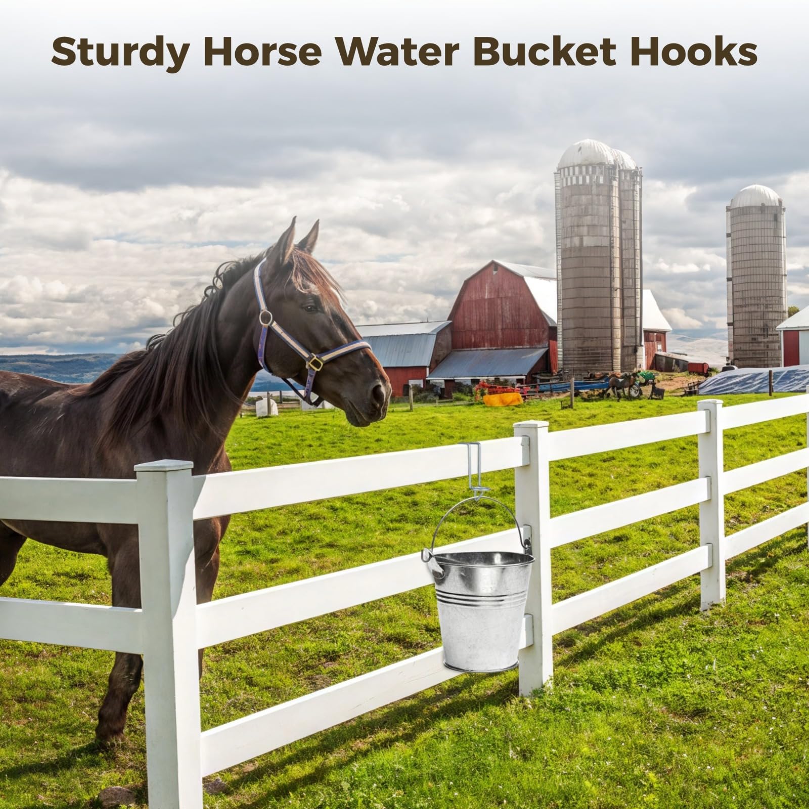 yeesport 4 Pcs Horse Water Bucket Hooks, Quality Metal, Rust-Resistant, Double Hook Design, Easy Installation for Stables Barns