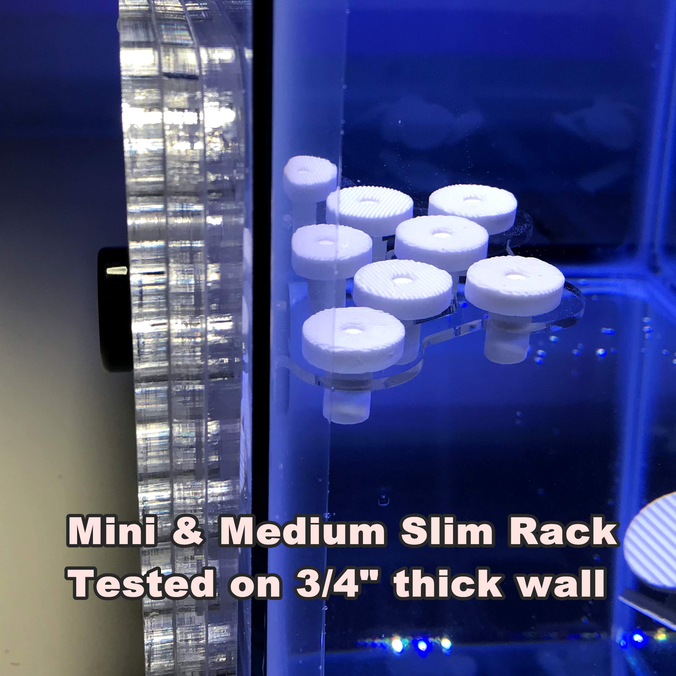 Reefing Art 8 Plugs Coral Frag Rack (Set Of Two)