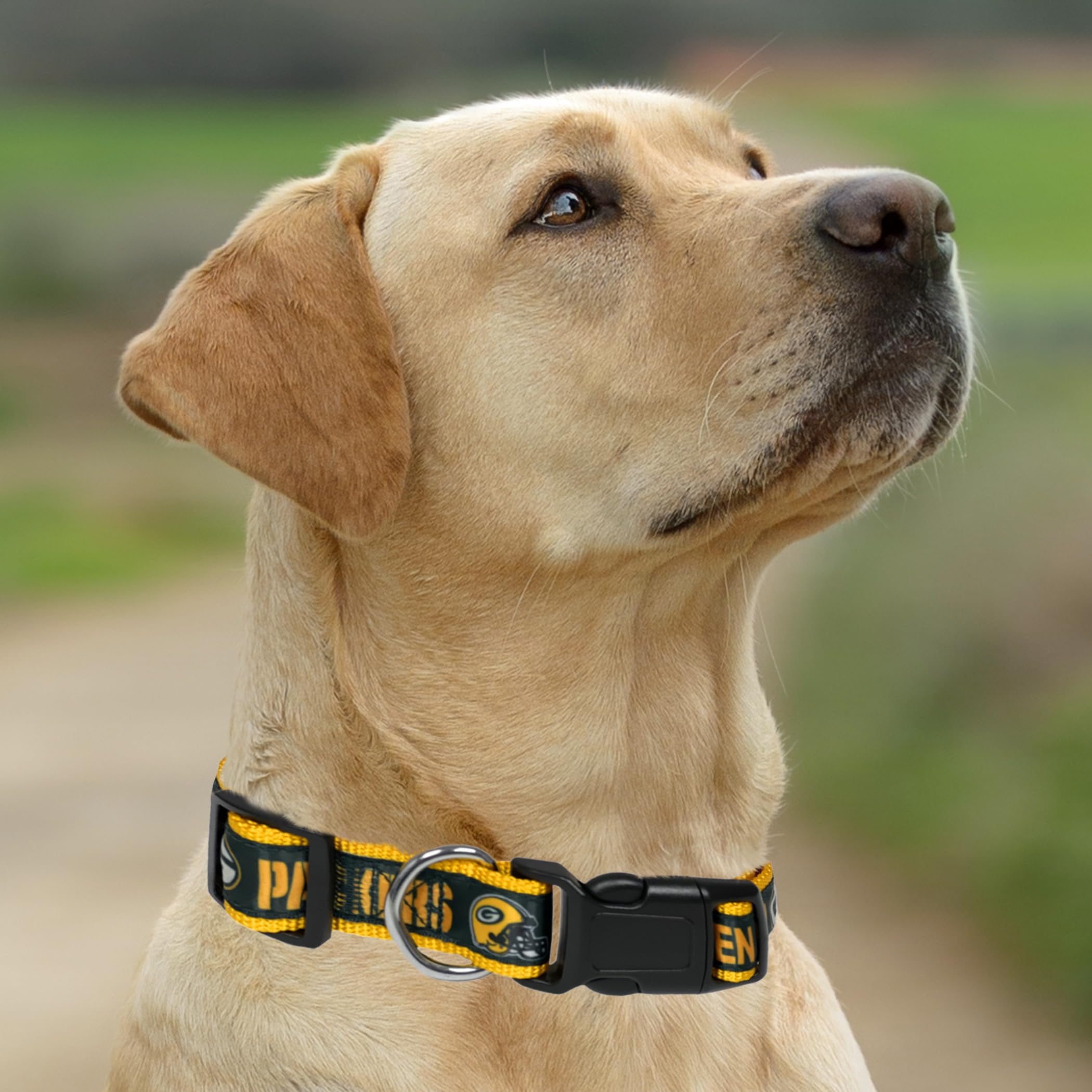 Pets First NFL Green Bay Packers Licensed PET COLLAR, Medium - Heavy-Duty, Strong, and Durable Dog Collar. Available in 31 Footb