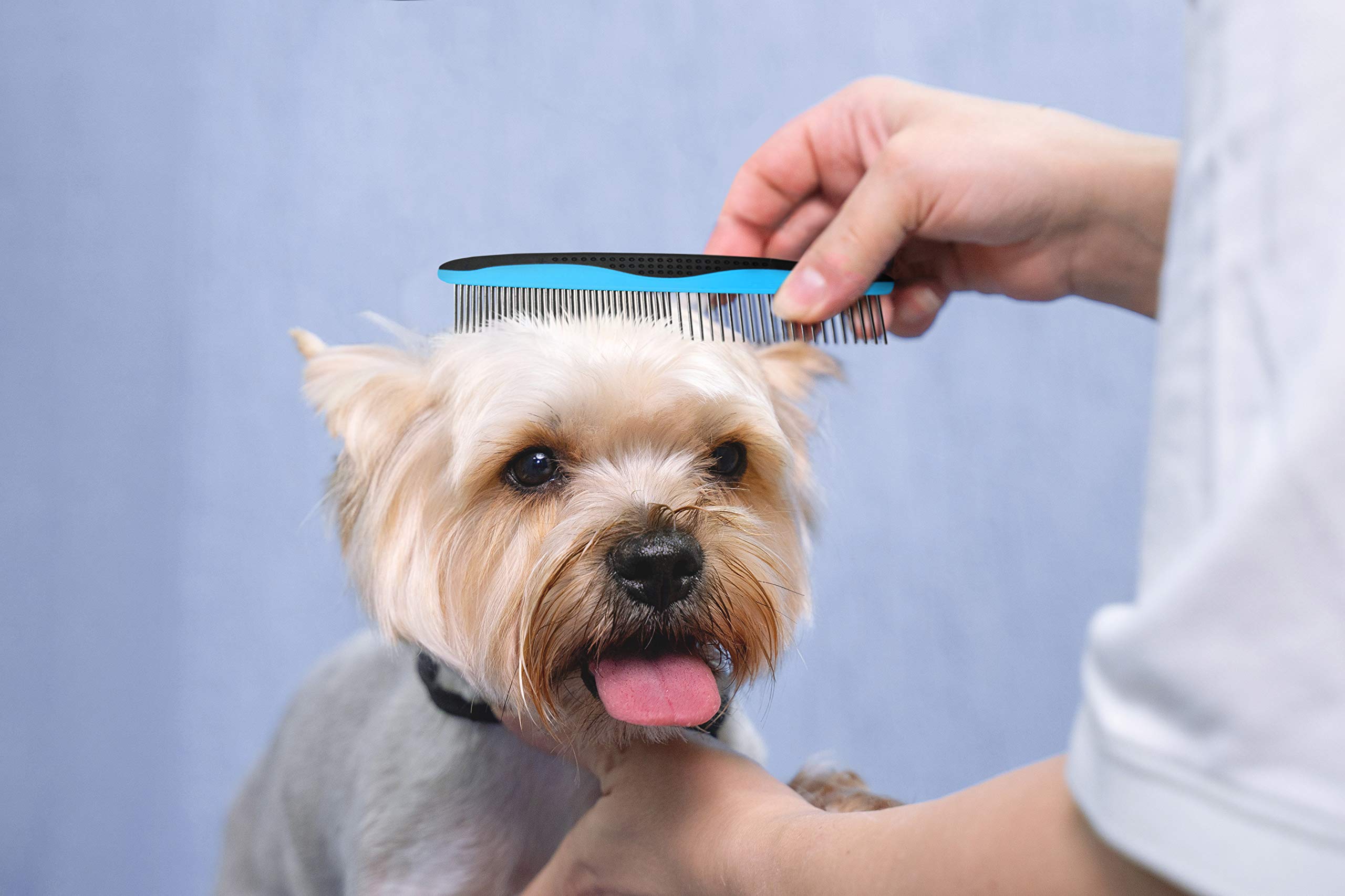 Pets First 2 Pack Dog Comb Small & Large Pet Comb For Small & Large Breeds & Areas. Premium Anti-Slip Comfort Grip Ergonomic Han