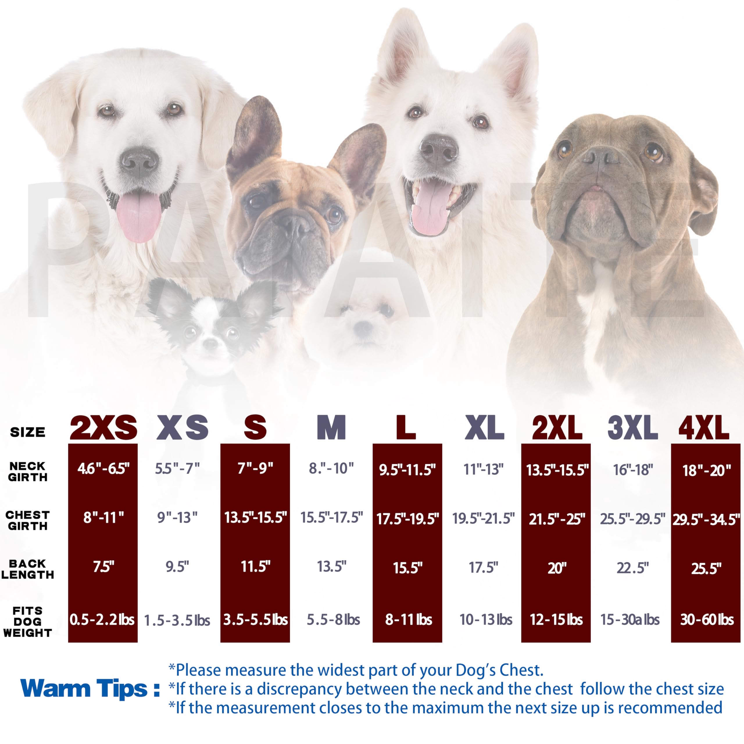 Discover Cozy Cotton Canine Wear: Soft, Lightweight, And Breathable Dog Shirt Vest With Eye-Catching Graphics(Nope Not Today), K