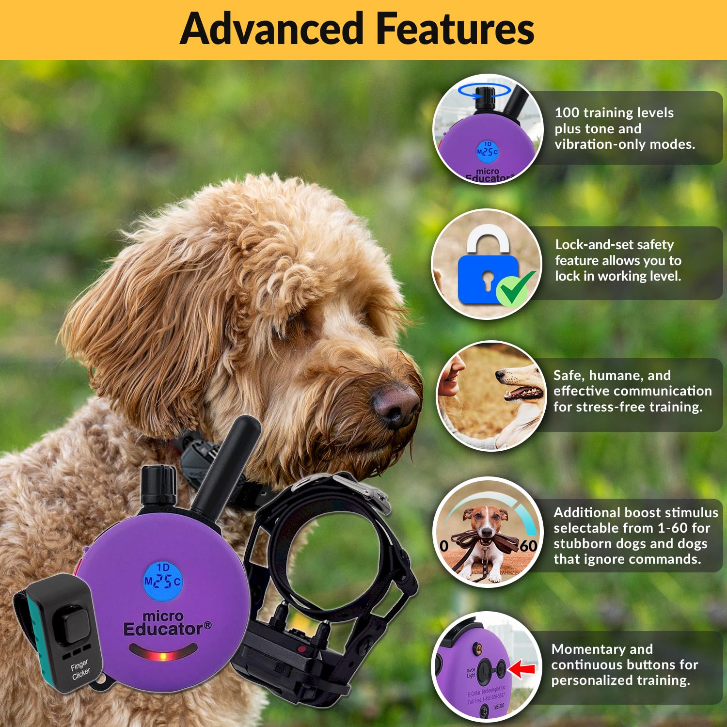 Educator E-Collar Humane Dog Training Collar With Remote, 100 Safe Tapping Stimulation Levels, Night Light, Waterproof, Recharge