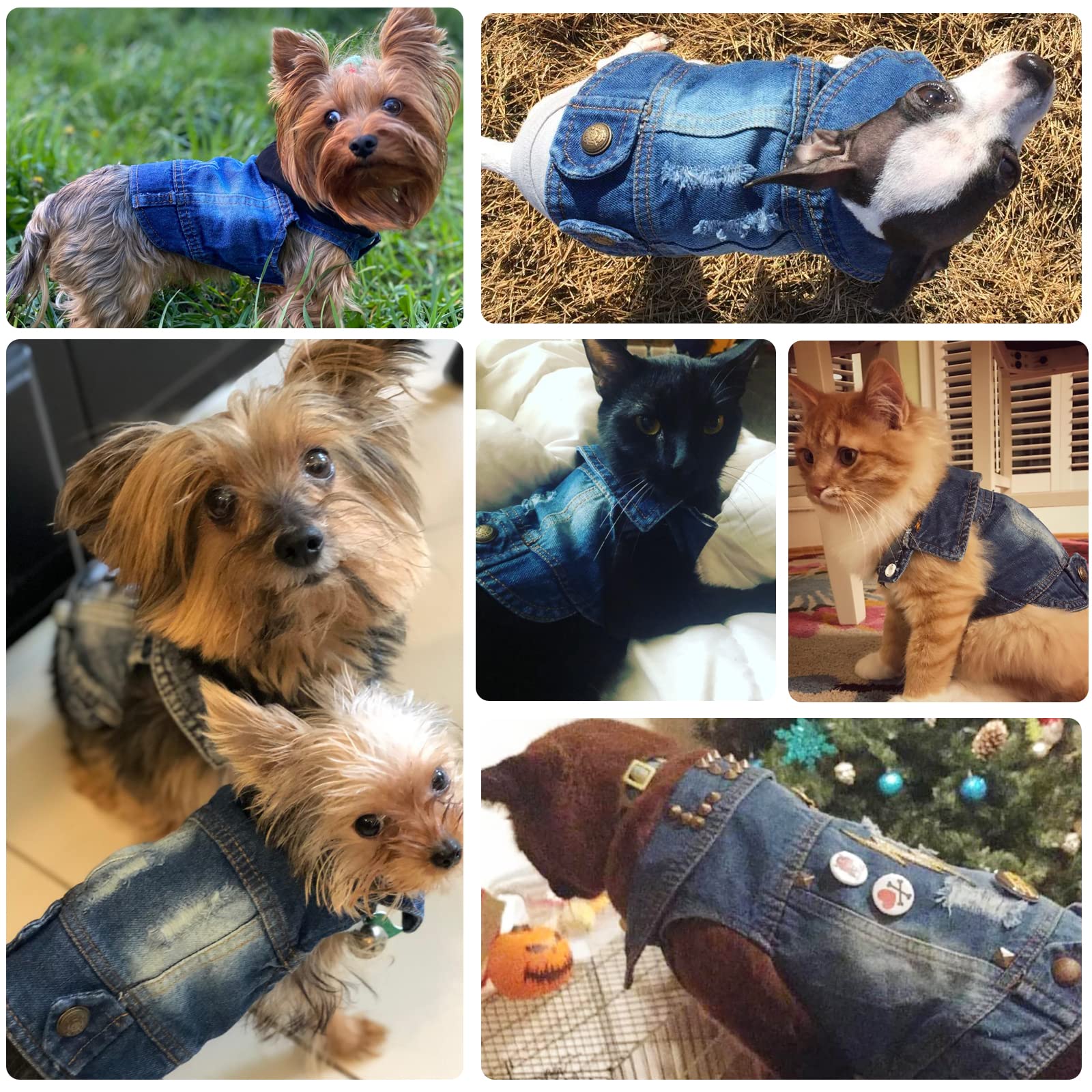 Doggyzstyle Cool Blue Dog Jean Jacket Small Pet Outfits Dog Clothes For Small Medium Dogs Cats Boys Girls Pet Vest Denim Coats Puppy Shirts Doggy Costume Clothing For Shih Tzu Chihuahua Yorkie Teacup