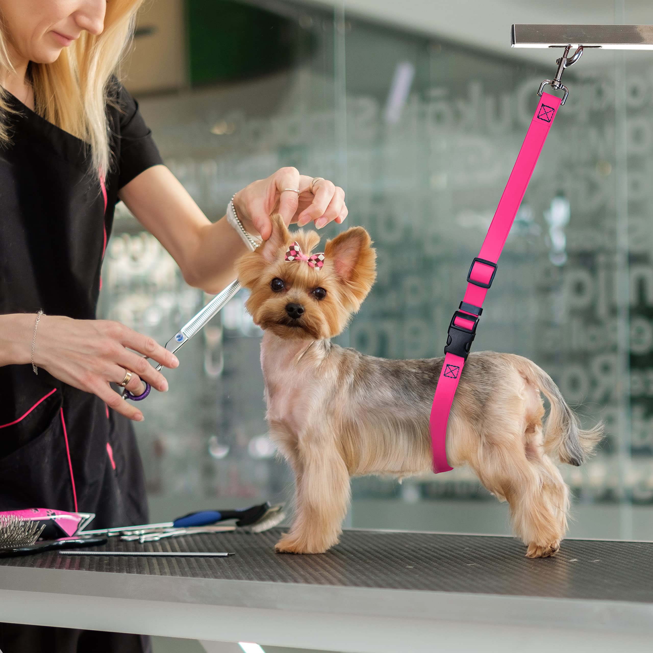 Jelly Pet Dog Belly Loop Restraint For Pet Grooming Table And Tub - Easy To Clean And Waterproof (Royal Blue) | Made In The Usa