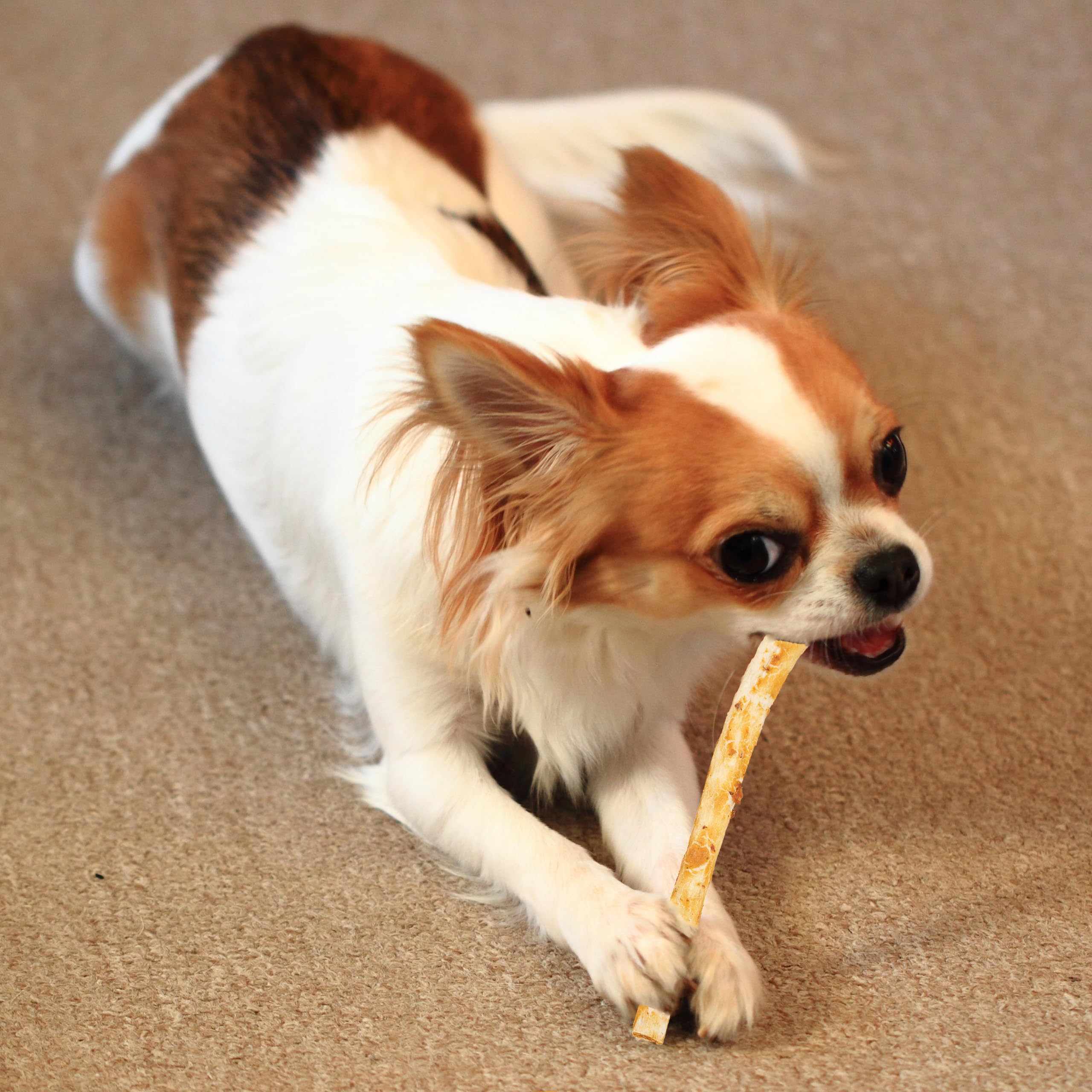 Fieldcrest Farms Nothin to Hide Twist Stix, Bacon Flavor, Easily Digestible, Supports Skin, Coat, Joints & Muscles, for Moderat