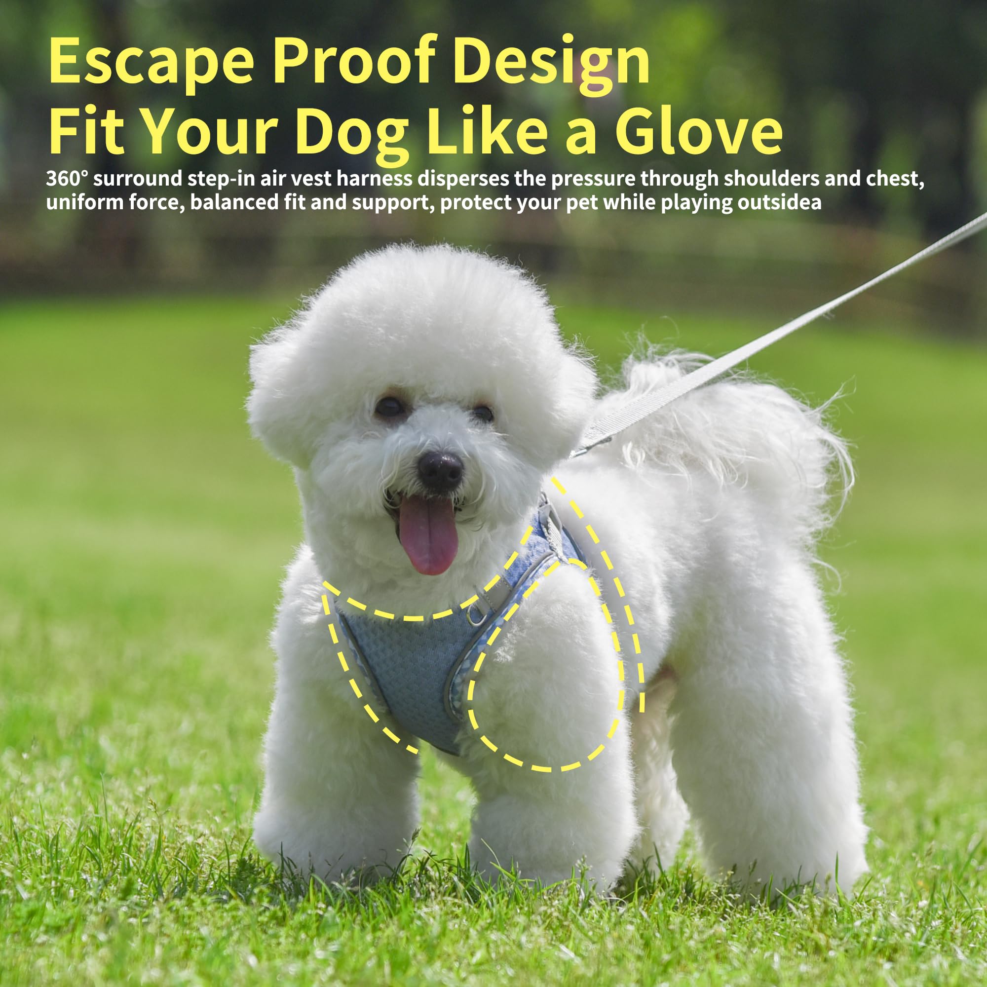 Joypaws Tiny Dog Harness, All Weather Diamond Mesh, Reflective Stripes, No Pull Step In Lightweight Vest Harness For Puppy, Smal