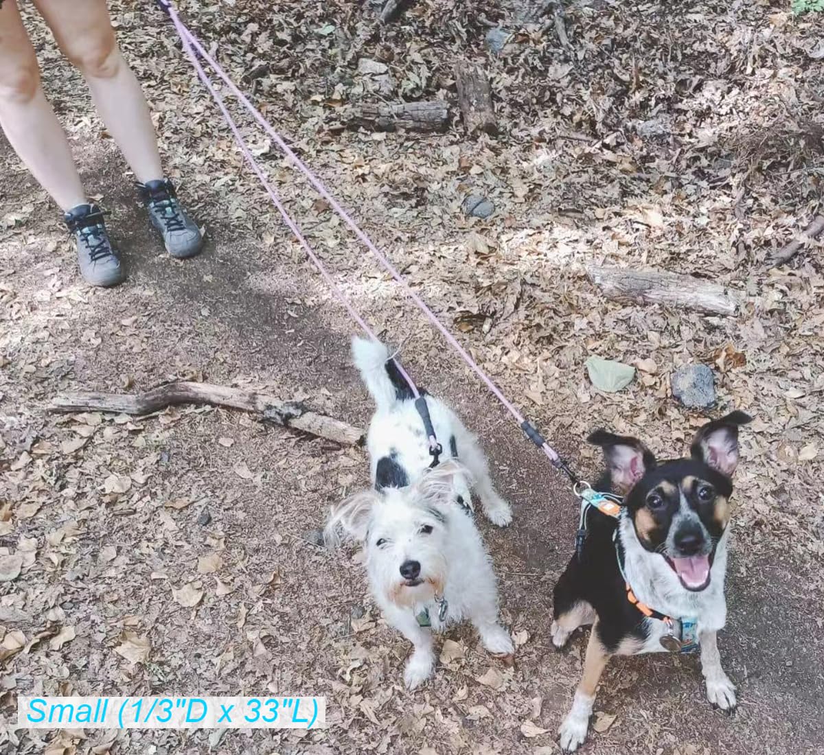 Mycicy Double Dog Leash Coupler - 33 No Tangle 360° Swivel Splitter for Large, Medium & Small Dogs - Pinkblue