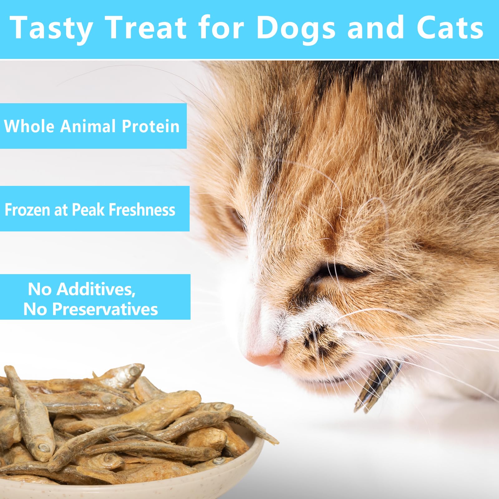 JADINGSFARM Minnows - 8.5 oz Freeze Dried - 100% Natural Premium Cat & Dog Treat