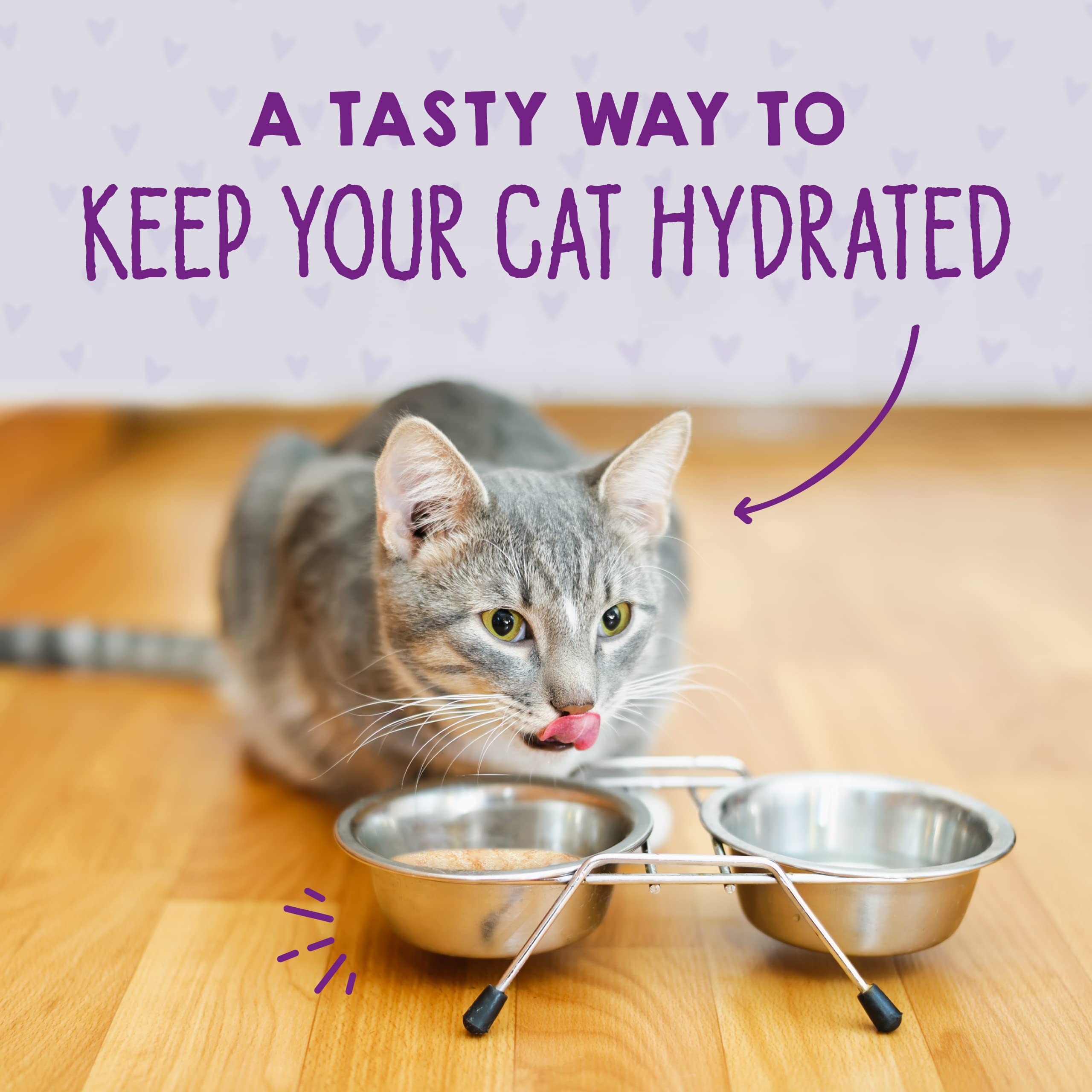 Stella & Chewy s Carnivore Cravings Savory Shreds - Wet Cat Food - High-Moisture Formula with Premium Cage-Free Chicken & Turke