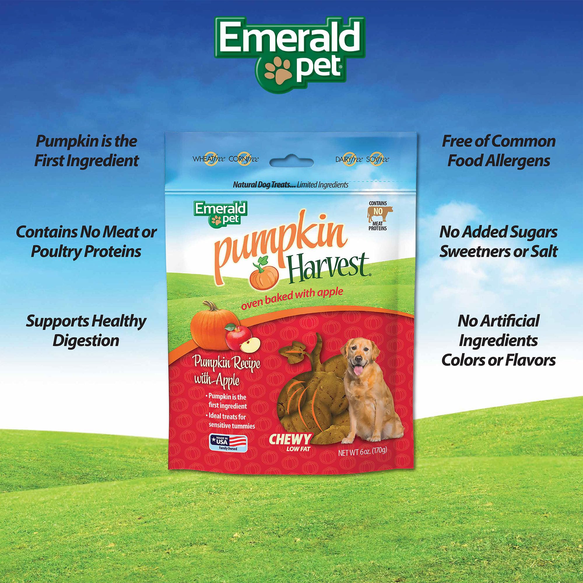Emerald Pet Pumpkin Harvest Oven Baked Dog Treats with Apple